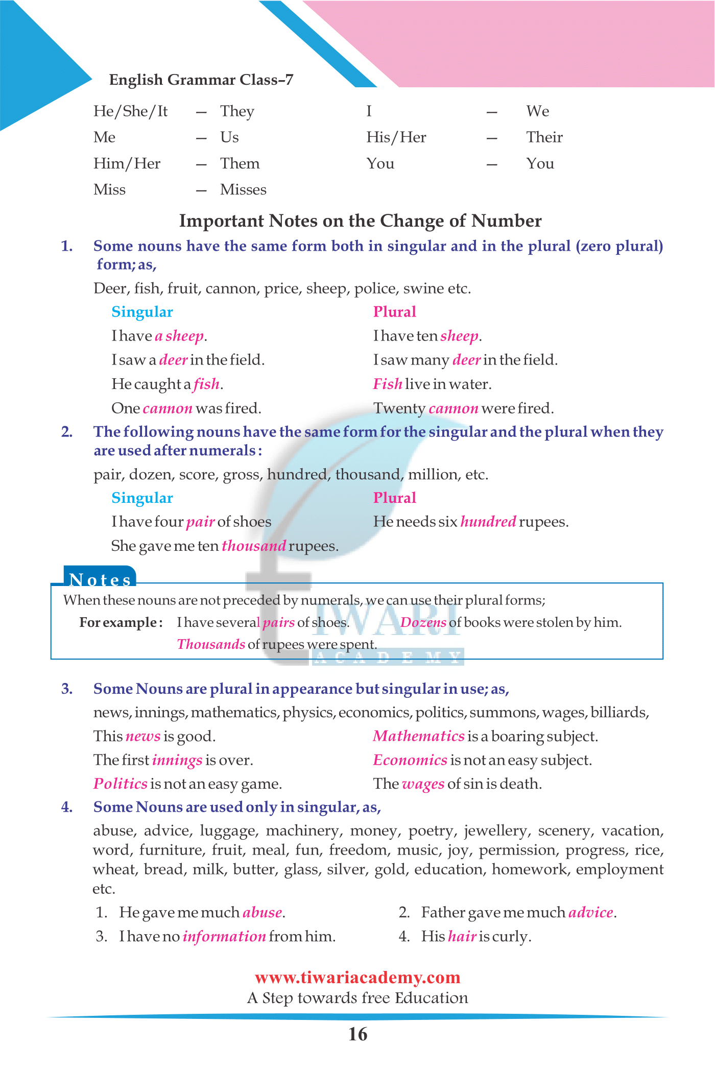 Class 7 English Grammar The Noun Numbers