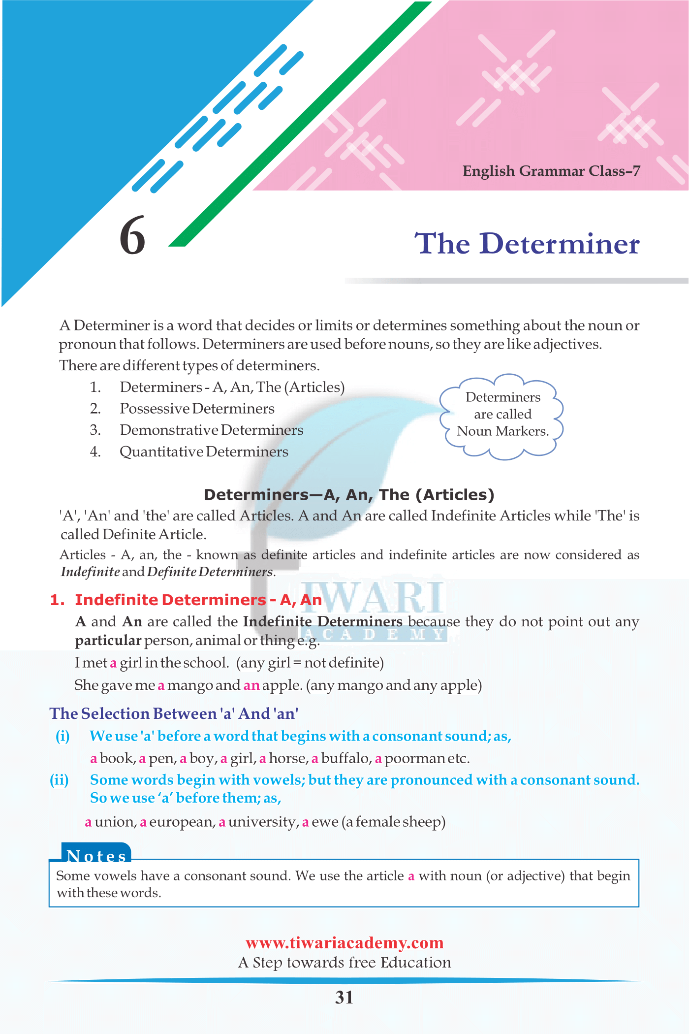 Class 7 English Grammar Chapter 6 The Determiner with example