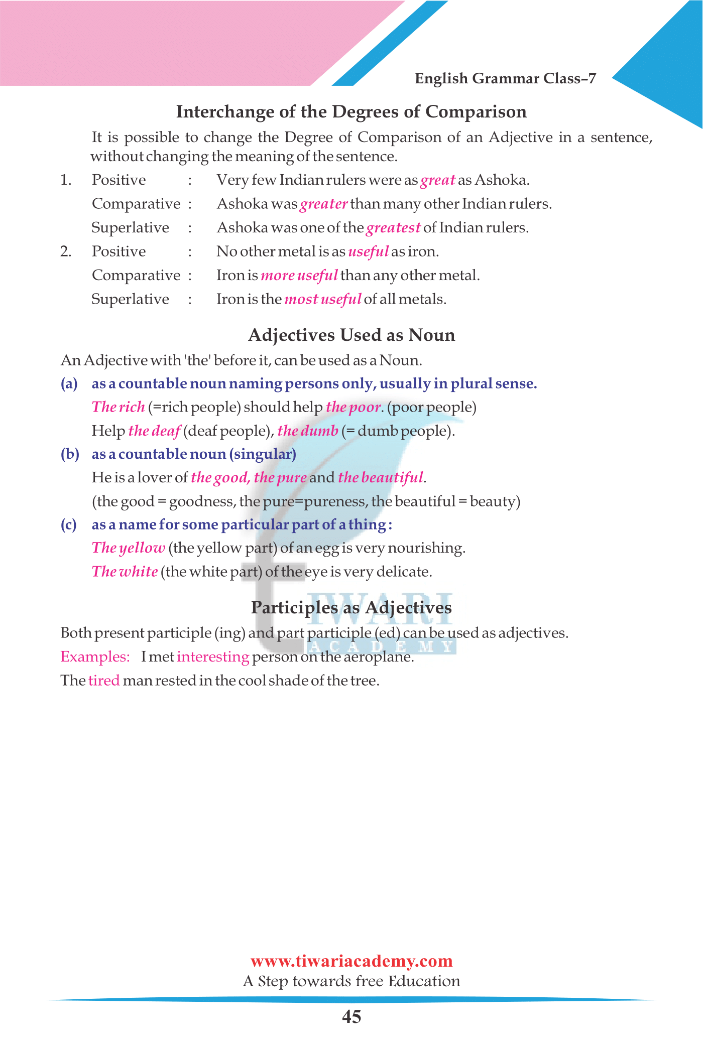 Grade 7 English Grammar Chapter 7 The Adjective