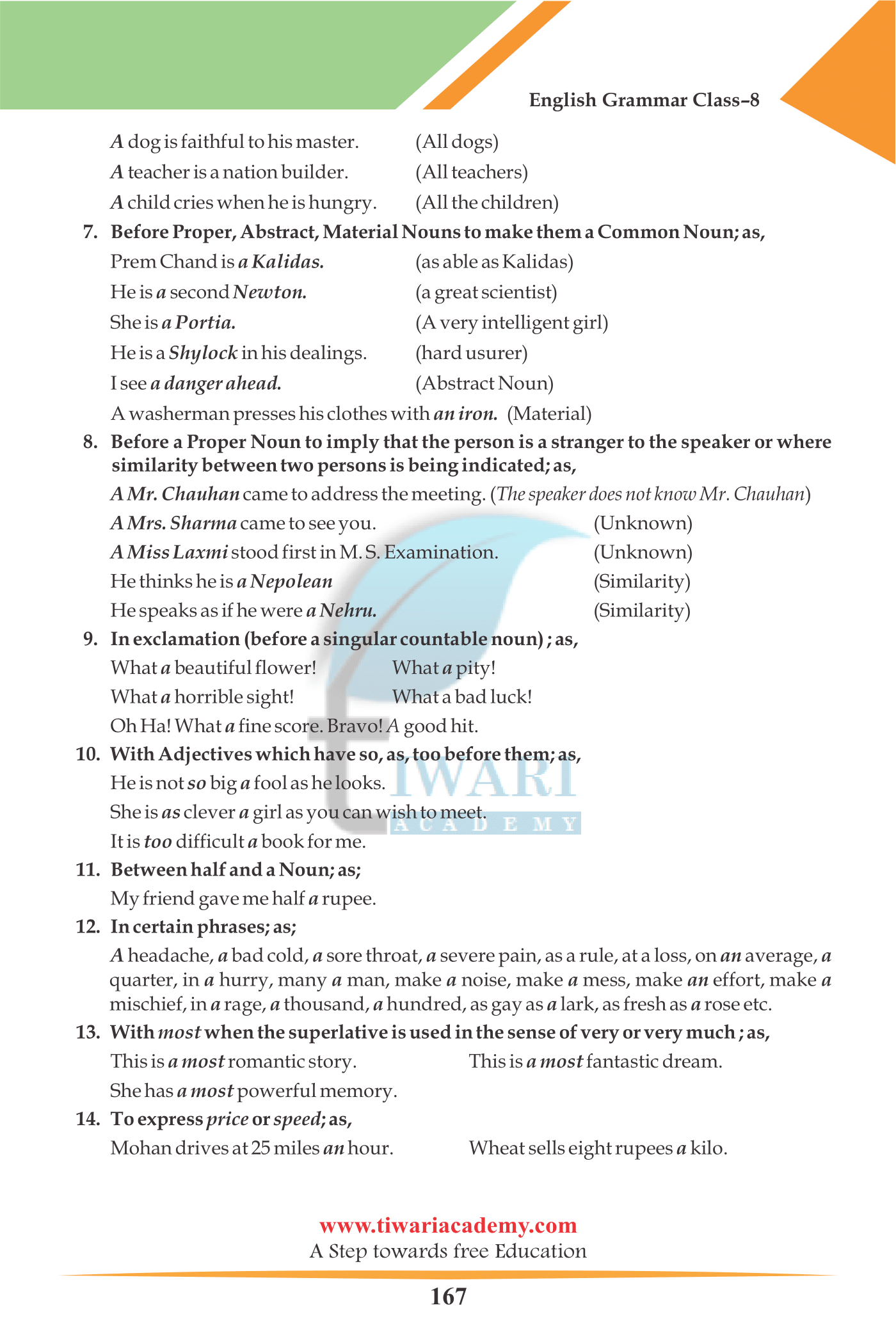 Class 8 English Grammar The Article