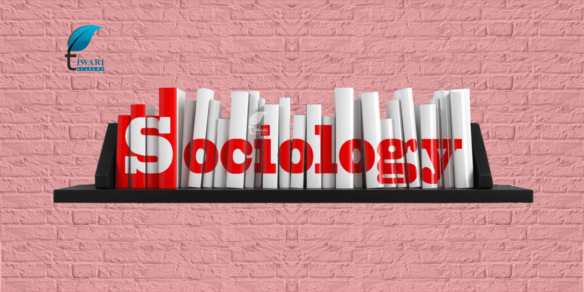 What is Sociology?