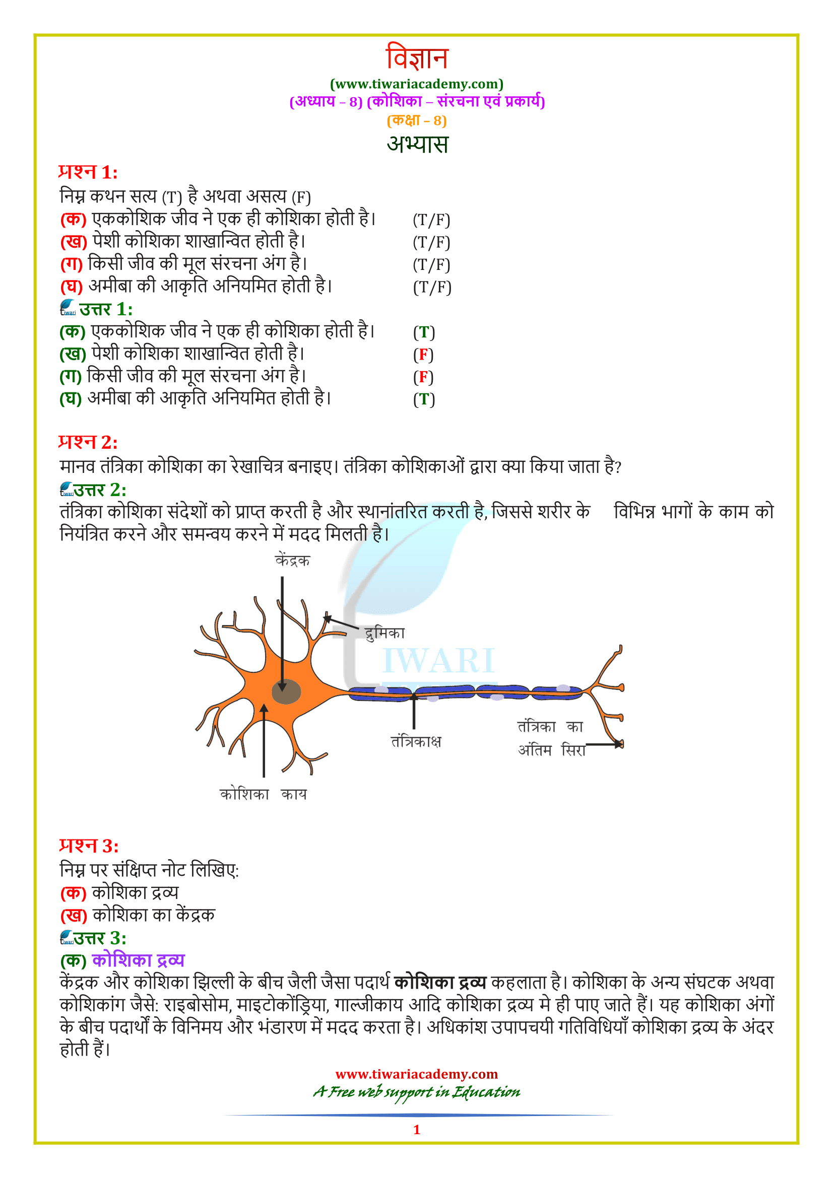 8 Science Chapter 8 Exercises Answers in Hindi