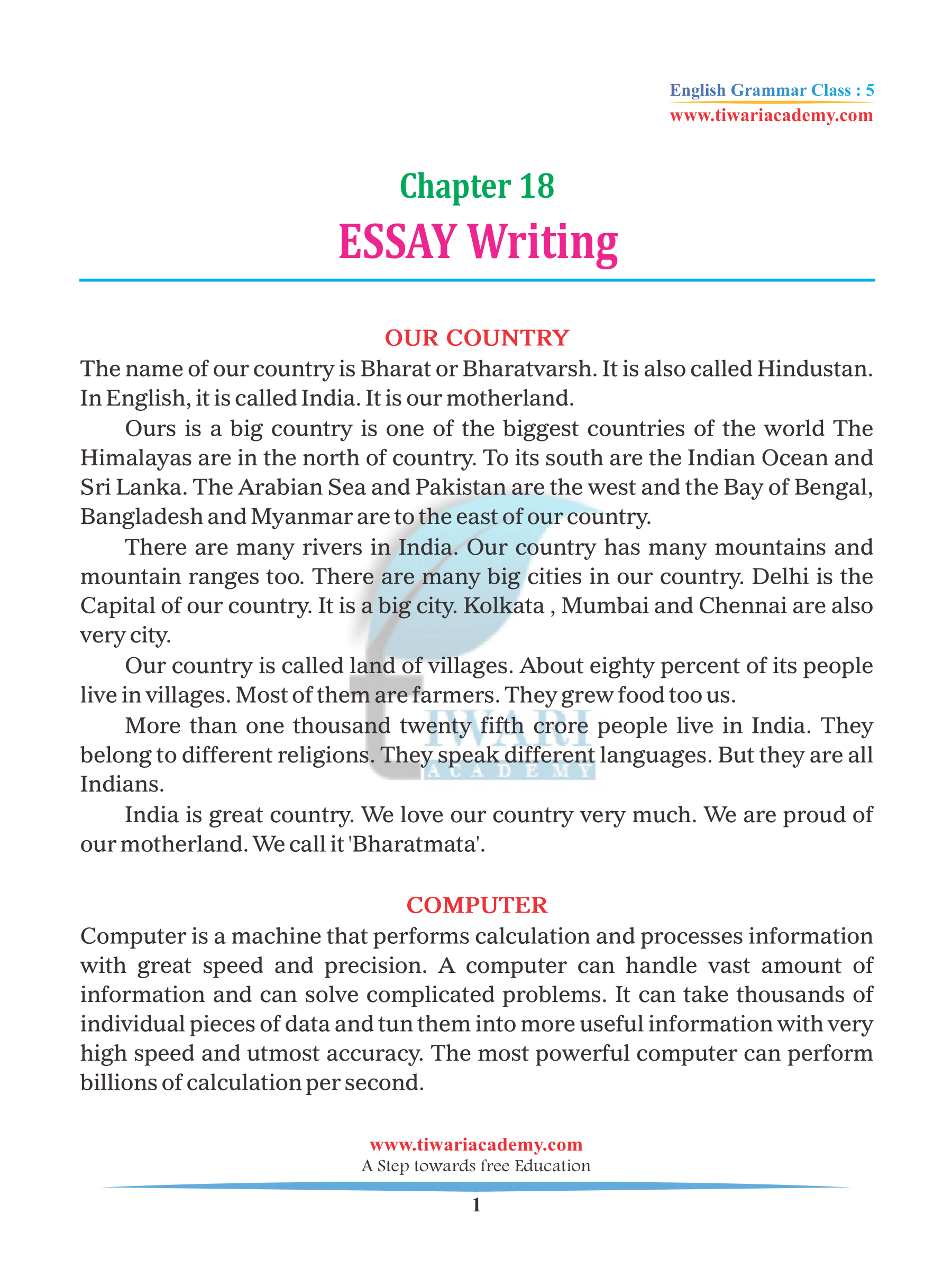 essay in english for class 5