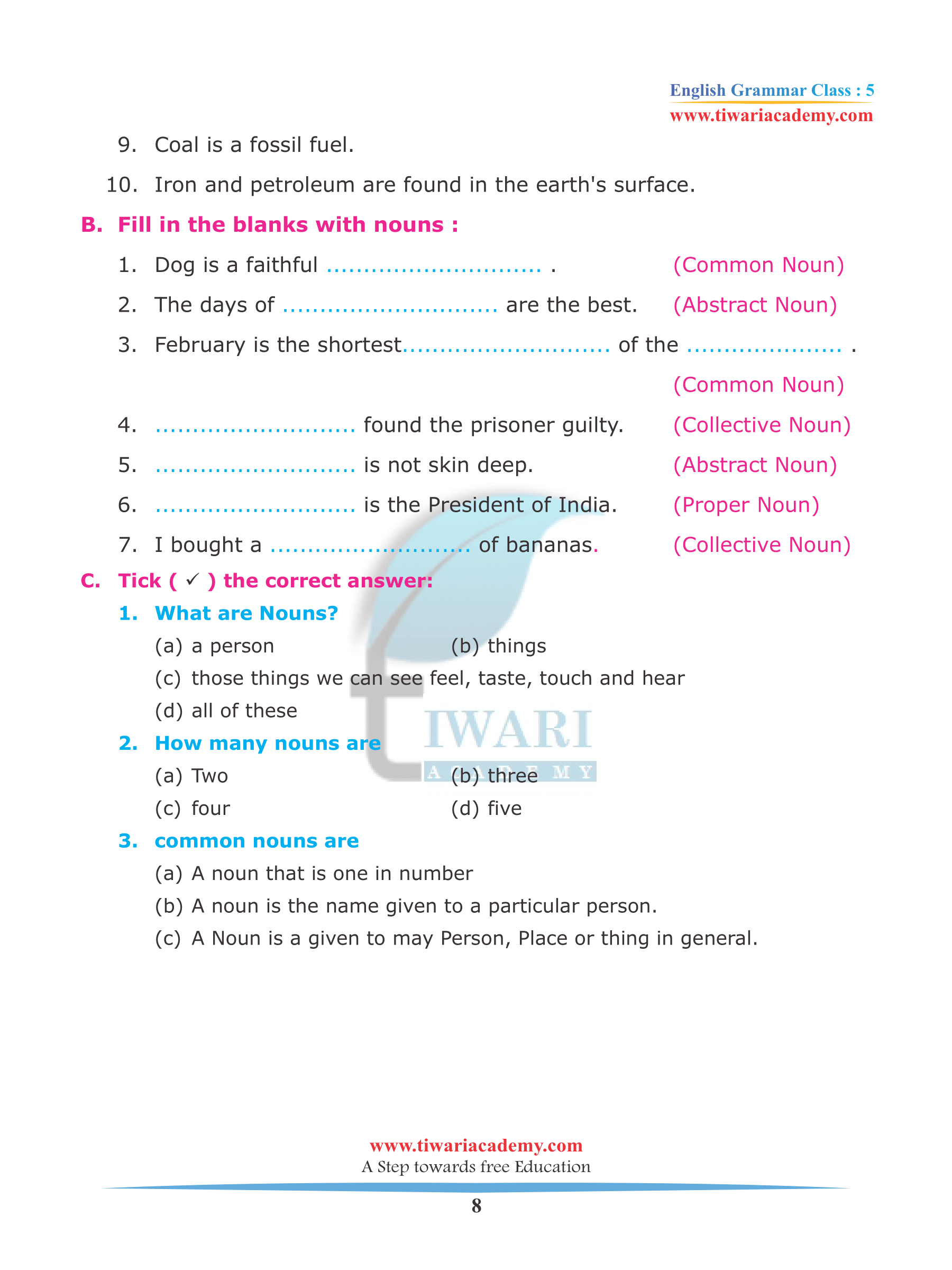Class 5 English Grammar Chapter 2 The Noun and its Kinds assignemnts