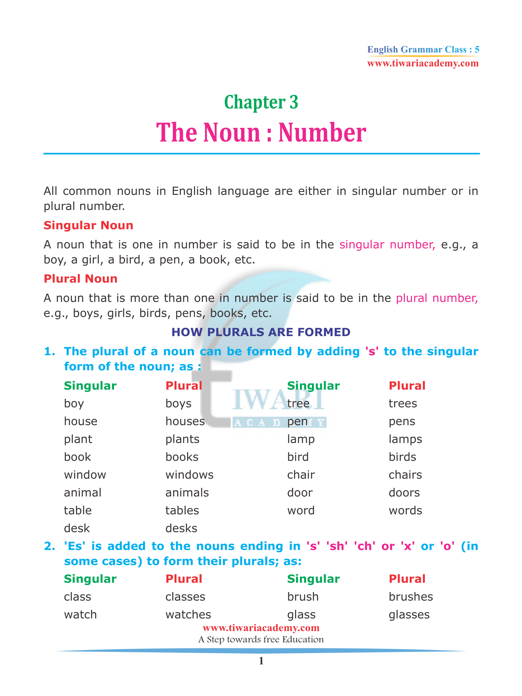 NCERT Solutions for Class 5 English Grammar Chapter 3 The Noun Number