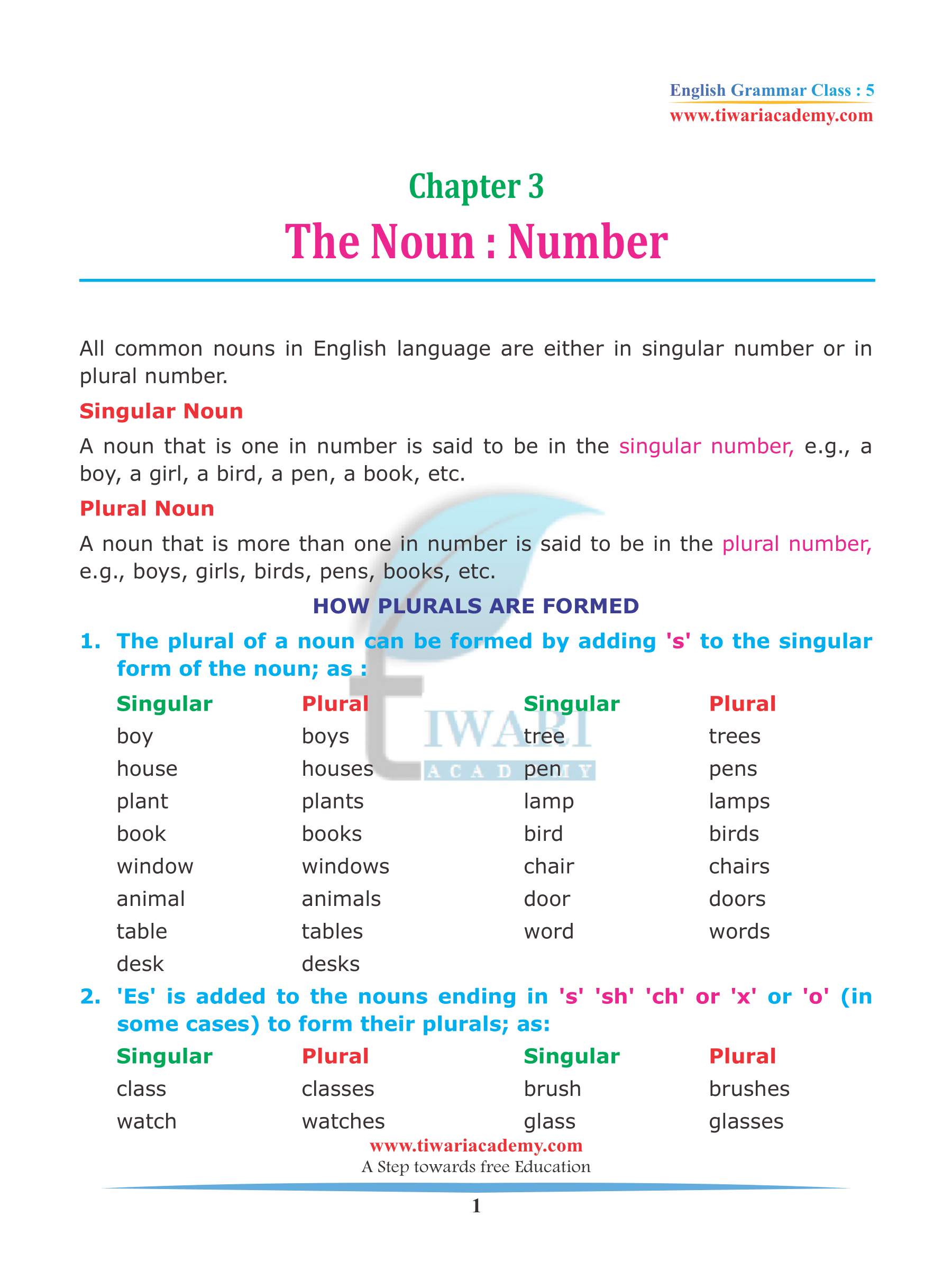 plural number of essay