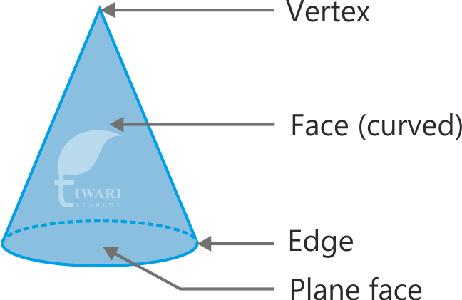 Parts of Cone