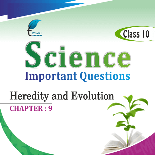 ncert class 9 science chapter 10 mcq