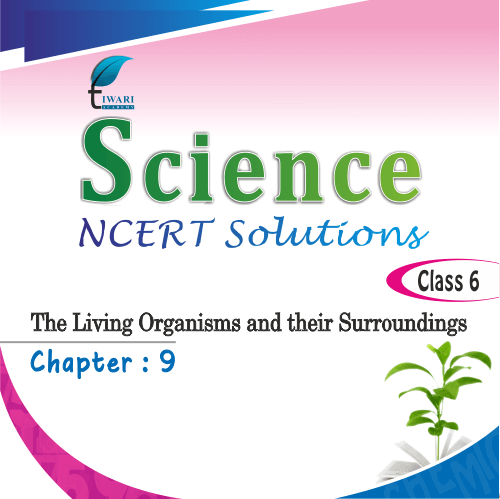 case study class 6 science chapter 9
