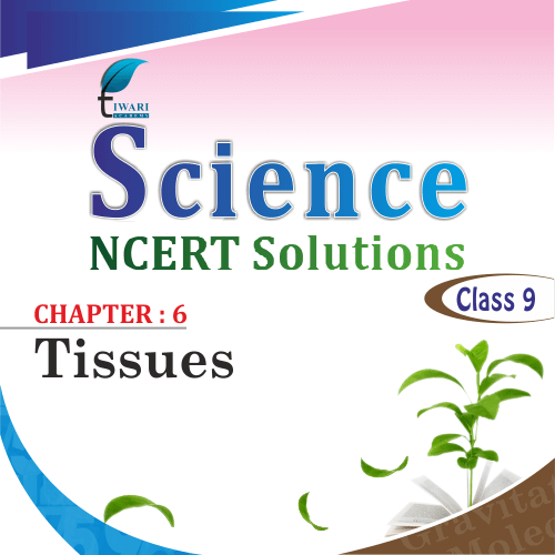 NCERT Solutions for Class 9 Science Chapter 6 Tissues