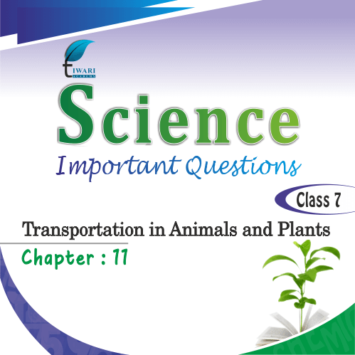 Important Extra Questions for Class 7 Science Chapter 11 (2022-2023).
