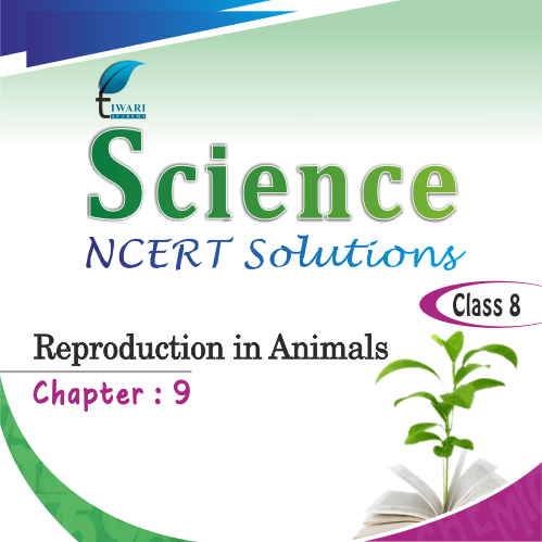 NCERT Solutions for Class 8 Science Chapter 9 Reproduction in Animals