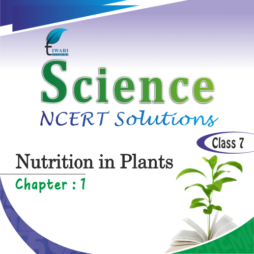 case study class 7 science chapter 1