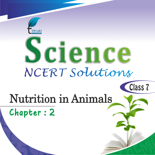 NCERT Solutions for Class 7 Science Chapter 2 Nutrition in Animals NCERT Solutions for Class 7 Science Chapter 2 Nutrition in Animals