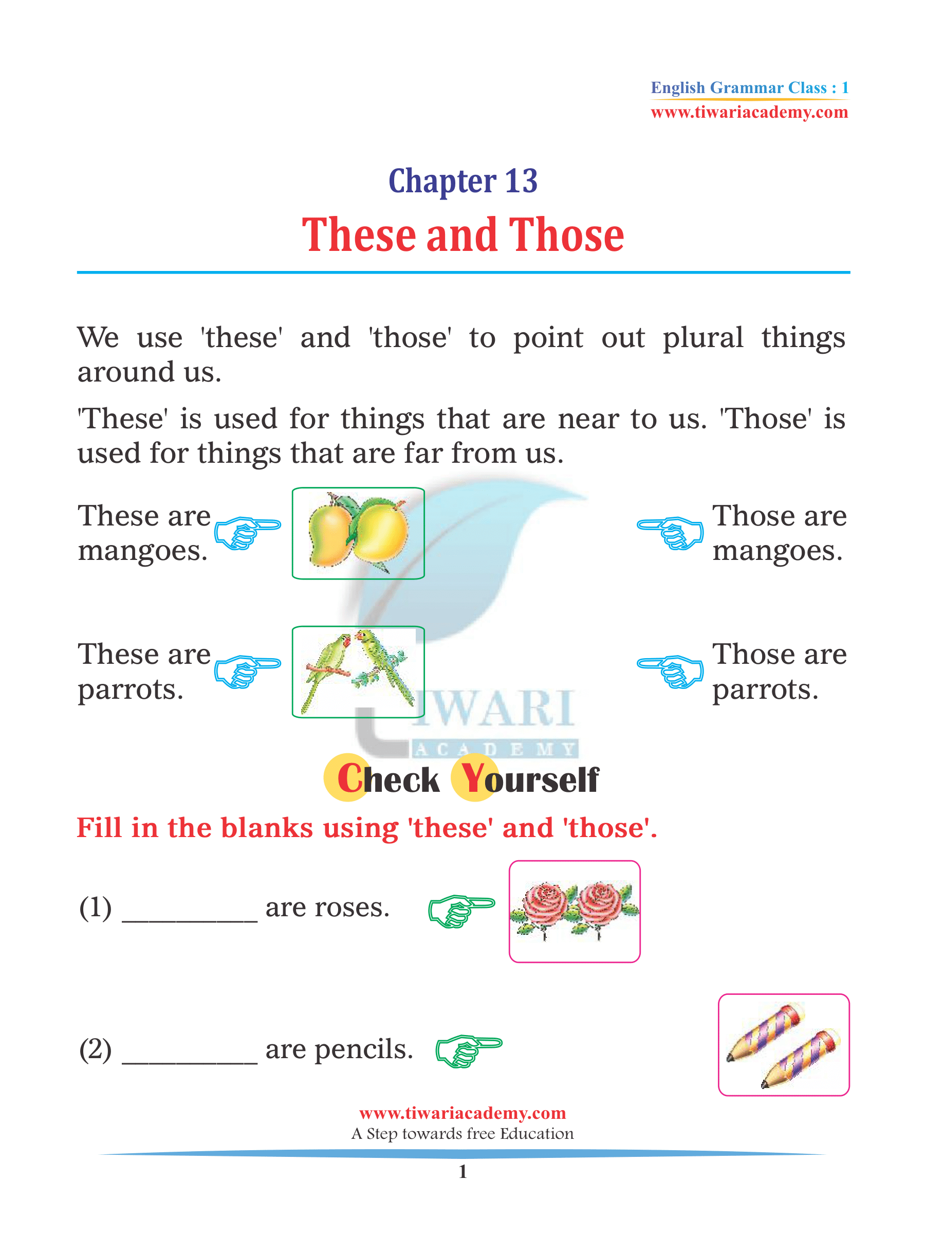 Class 1 English Grammar These and Those