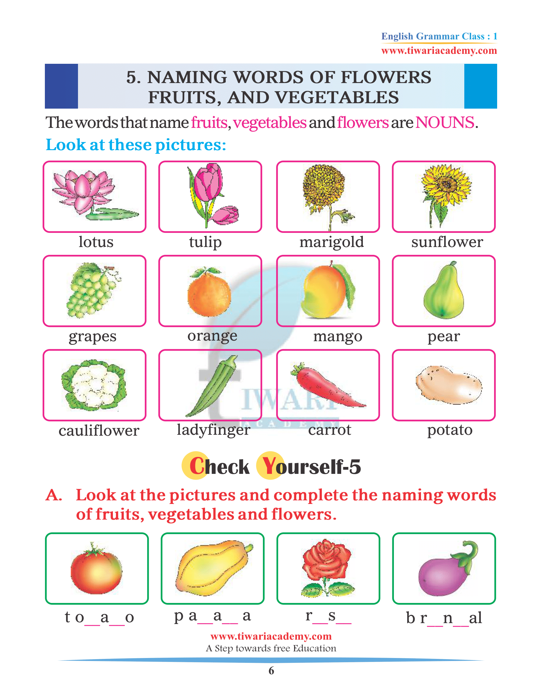 Pictures of Noun