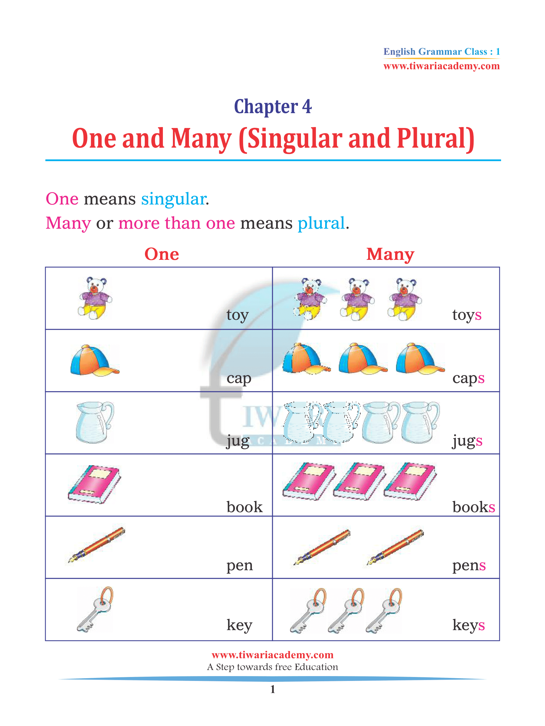 Singular and Plural for grade 1