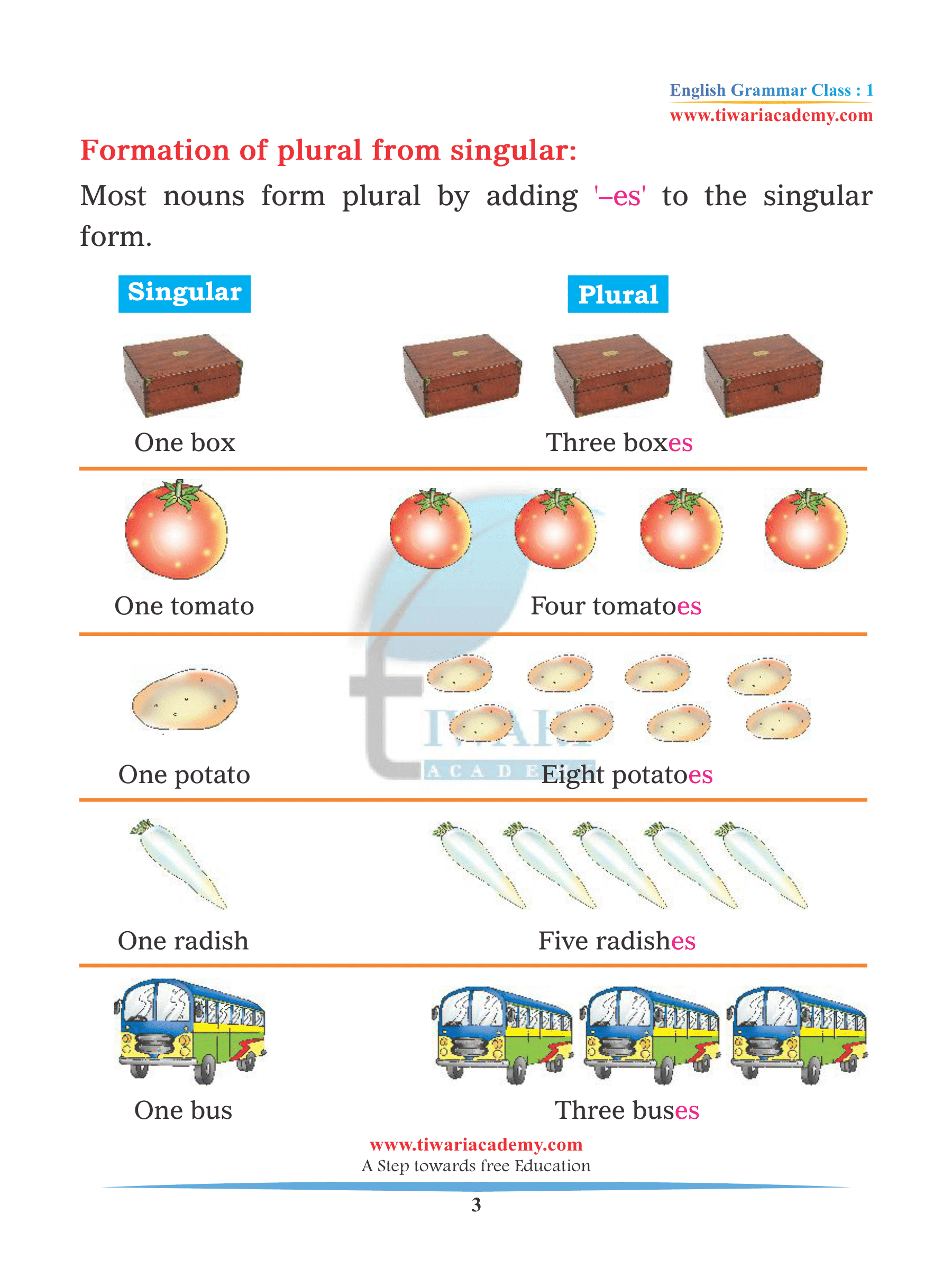 English Grammar for class 1 Singular and Plural