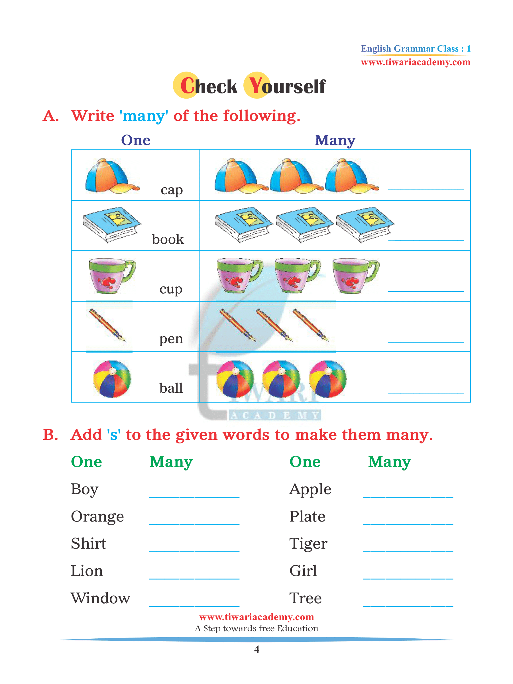 Identify Singular and Plural standard 1st