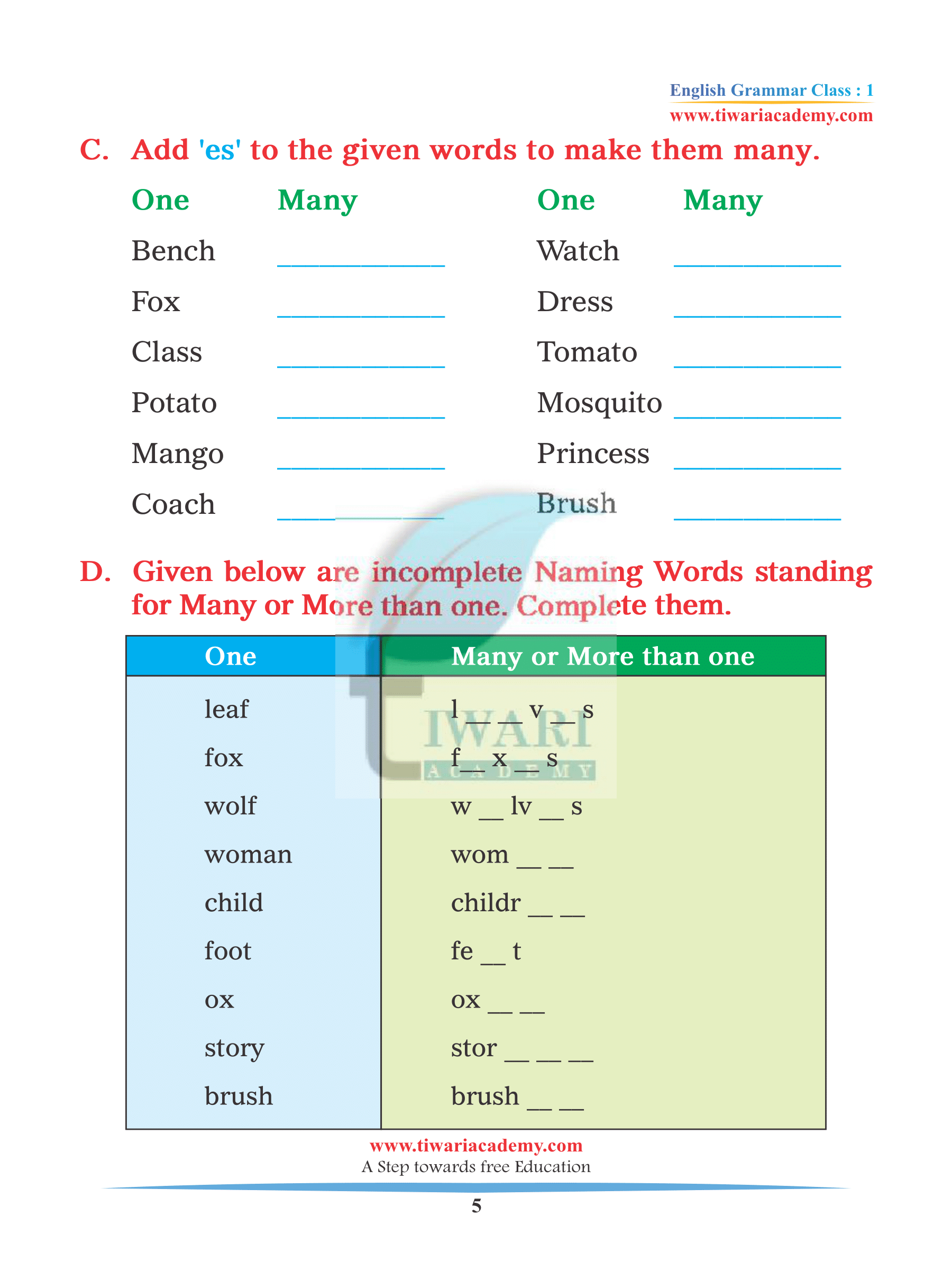 Assignment based on Singular and Plural
