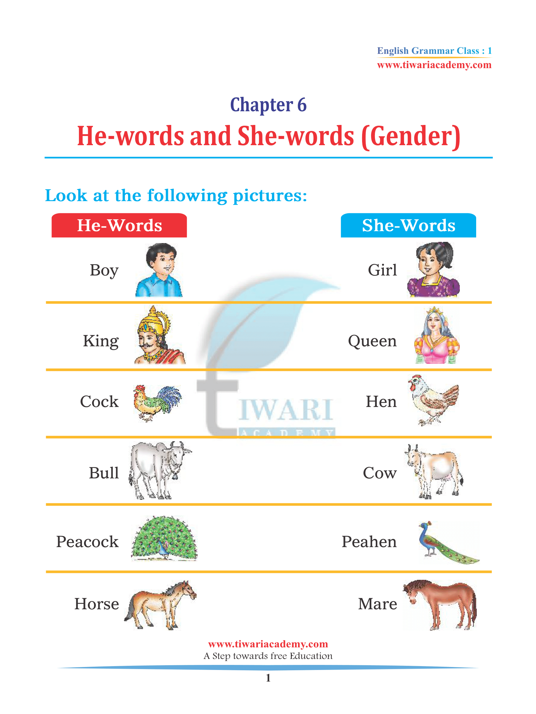Noun Gender for class 1