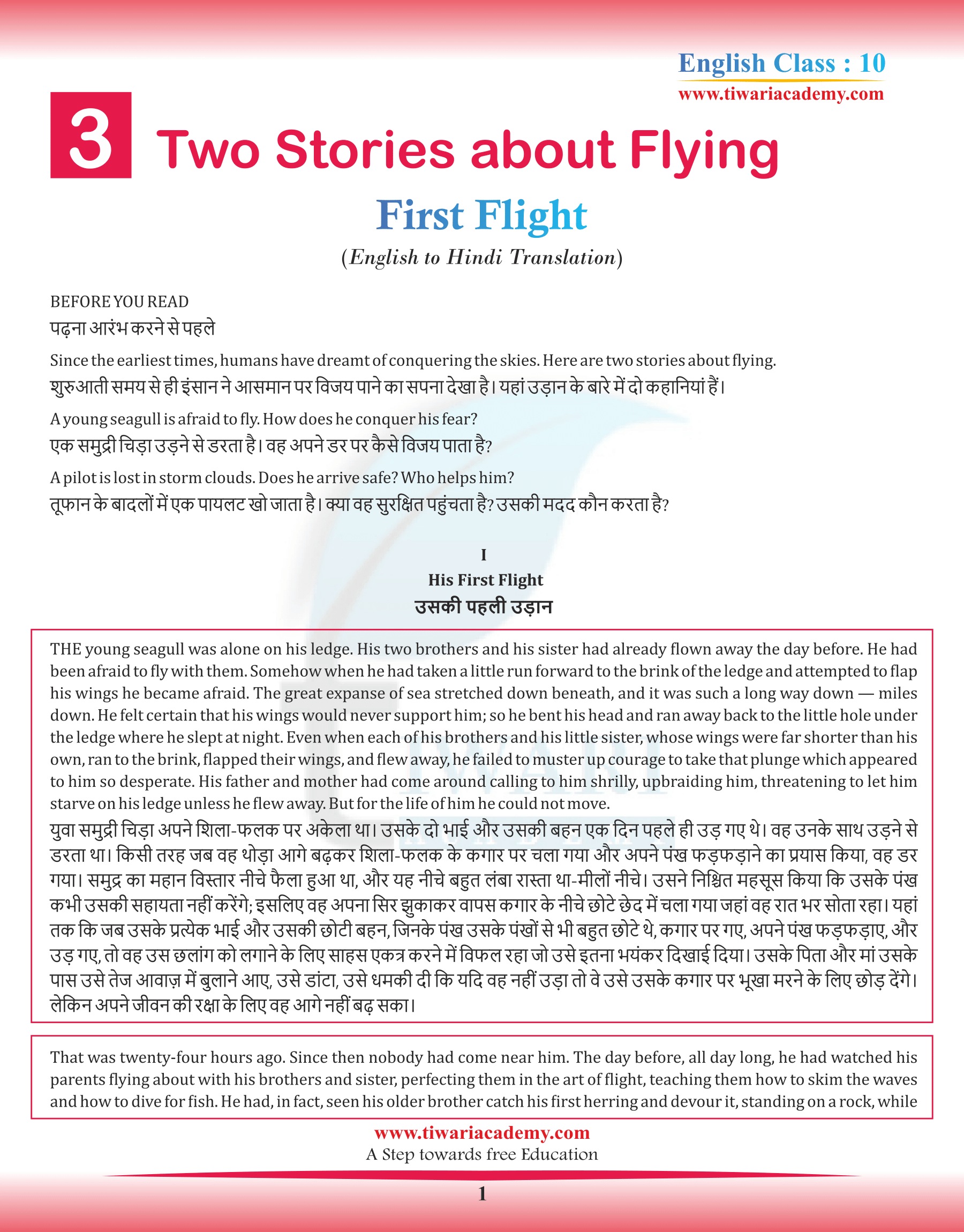 Class 10 English First Flight Chapter 3 Two Stories about Flying Hindi Translation