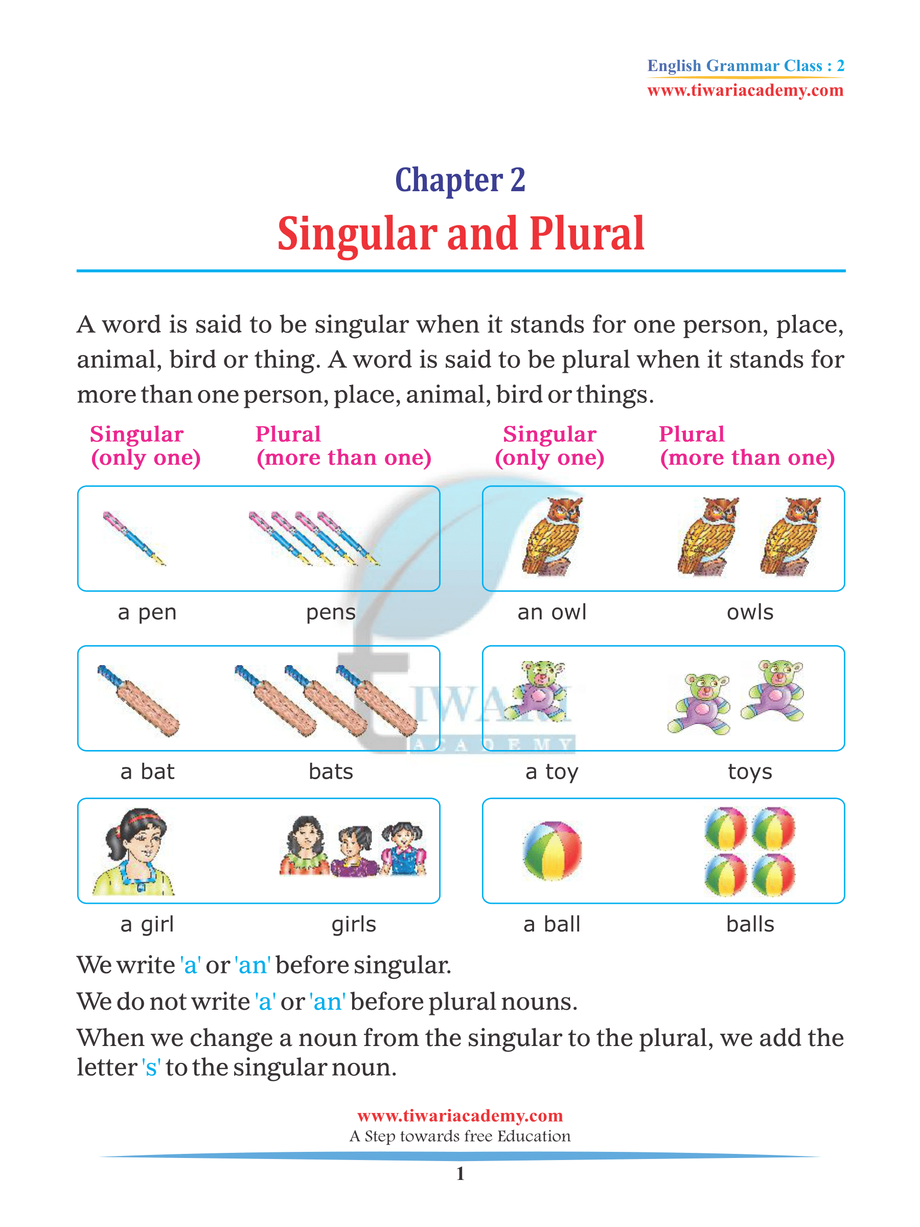 Class 2 English Grammar Chapter 2 Singular and Plural Practice