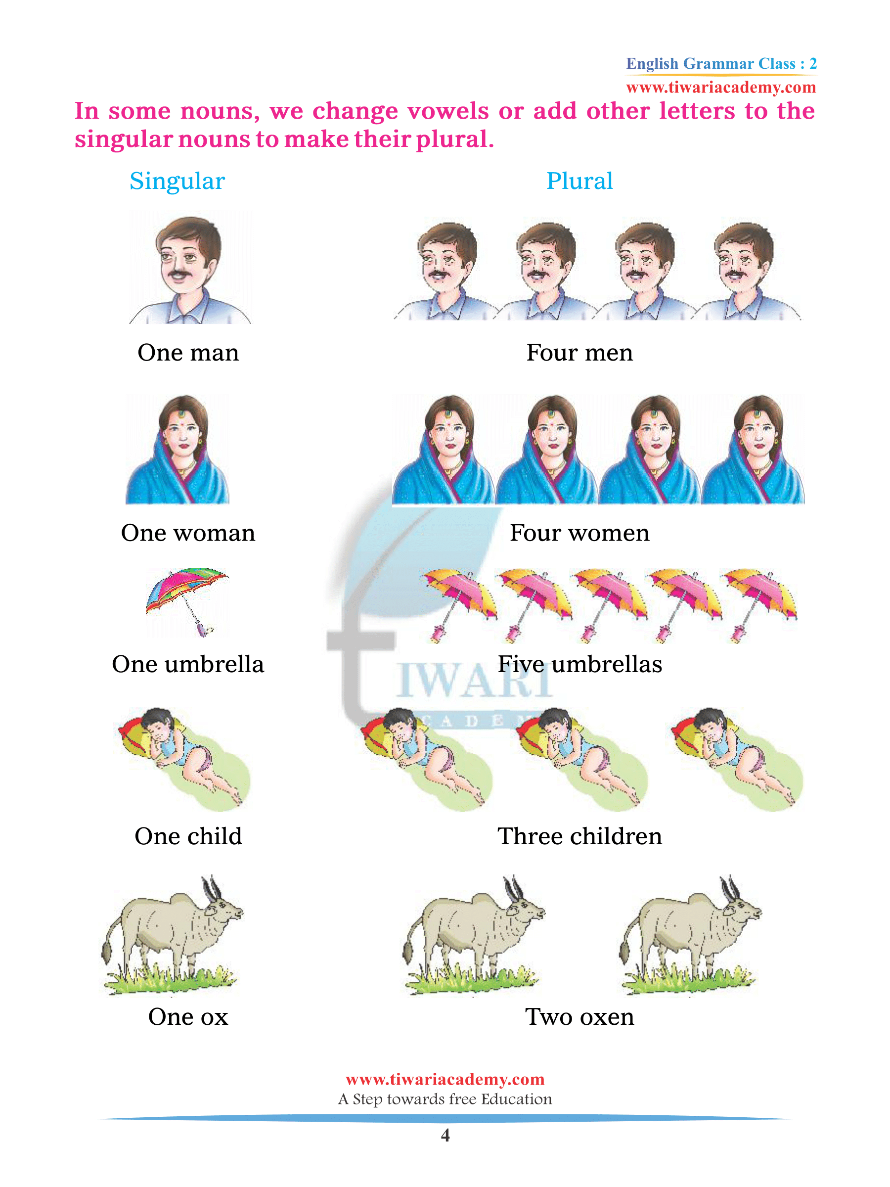 Singular and Plural English Grammar 2
