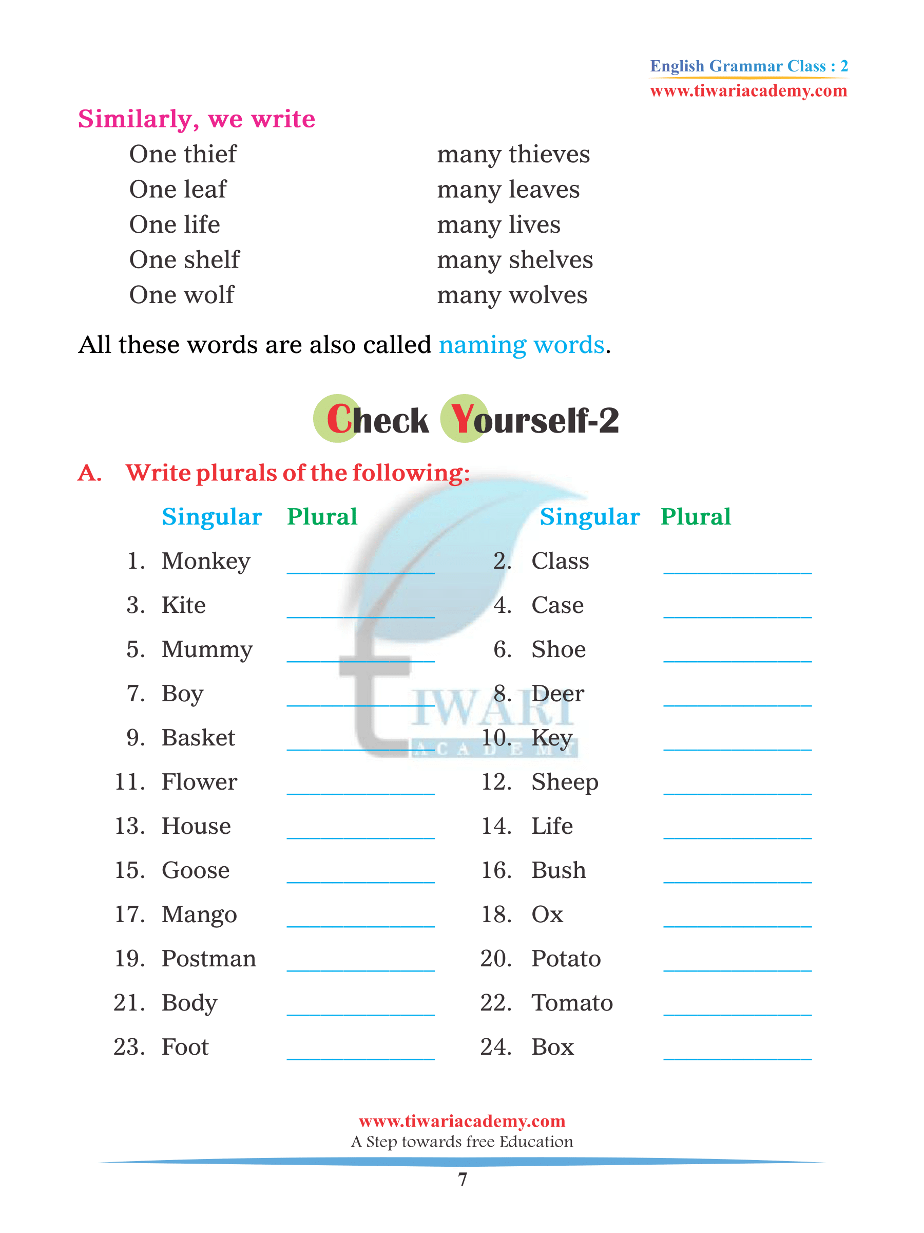Class 2 English Grammar Chapter 2 Singular and Plural Assignments