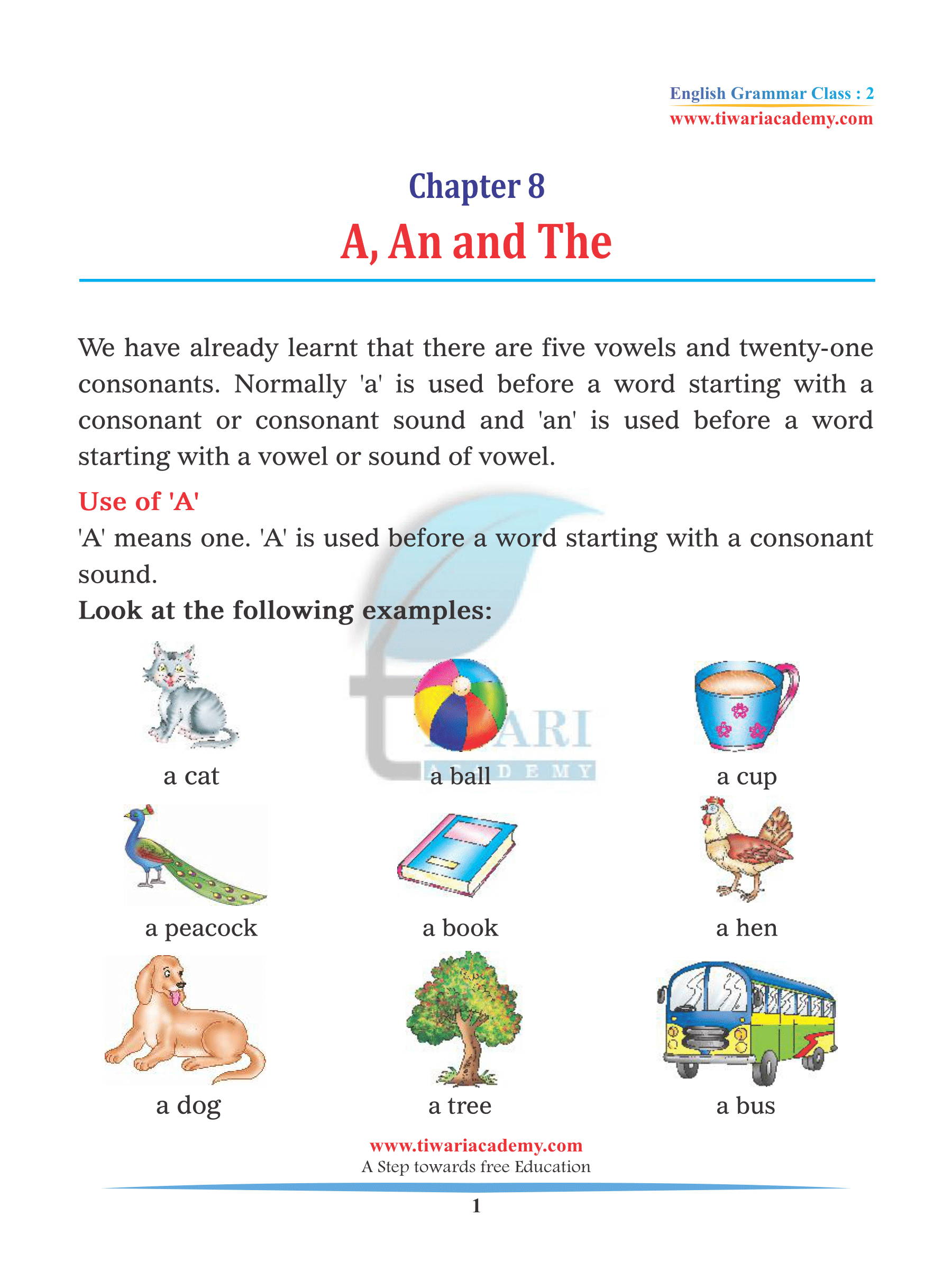 Class 2 English Grammar Chapter 8 Articles