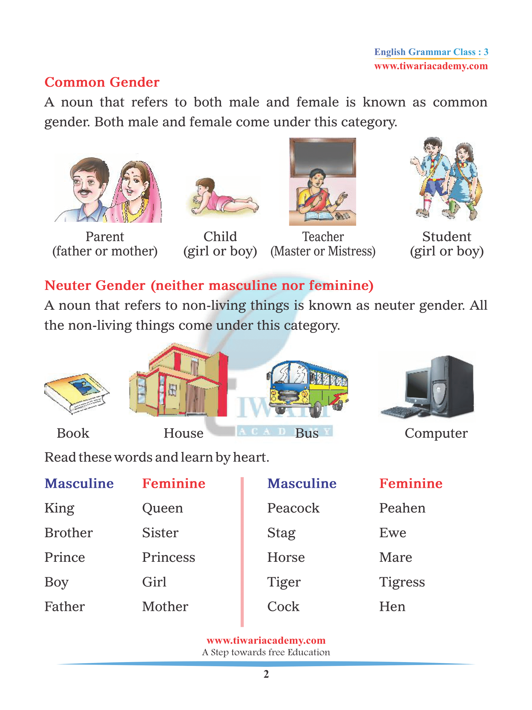 Gender Nouns Worksheet Gender Of Nouns Worksheet Nickolas Brady