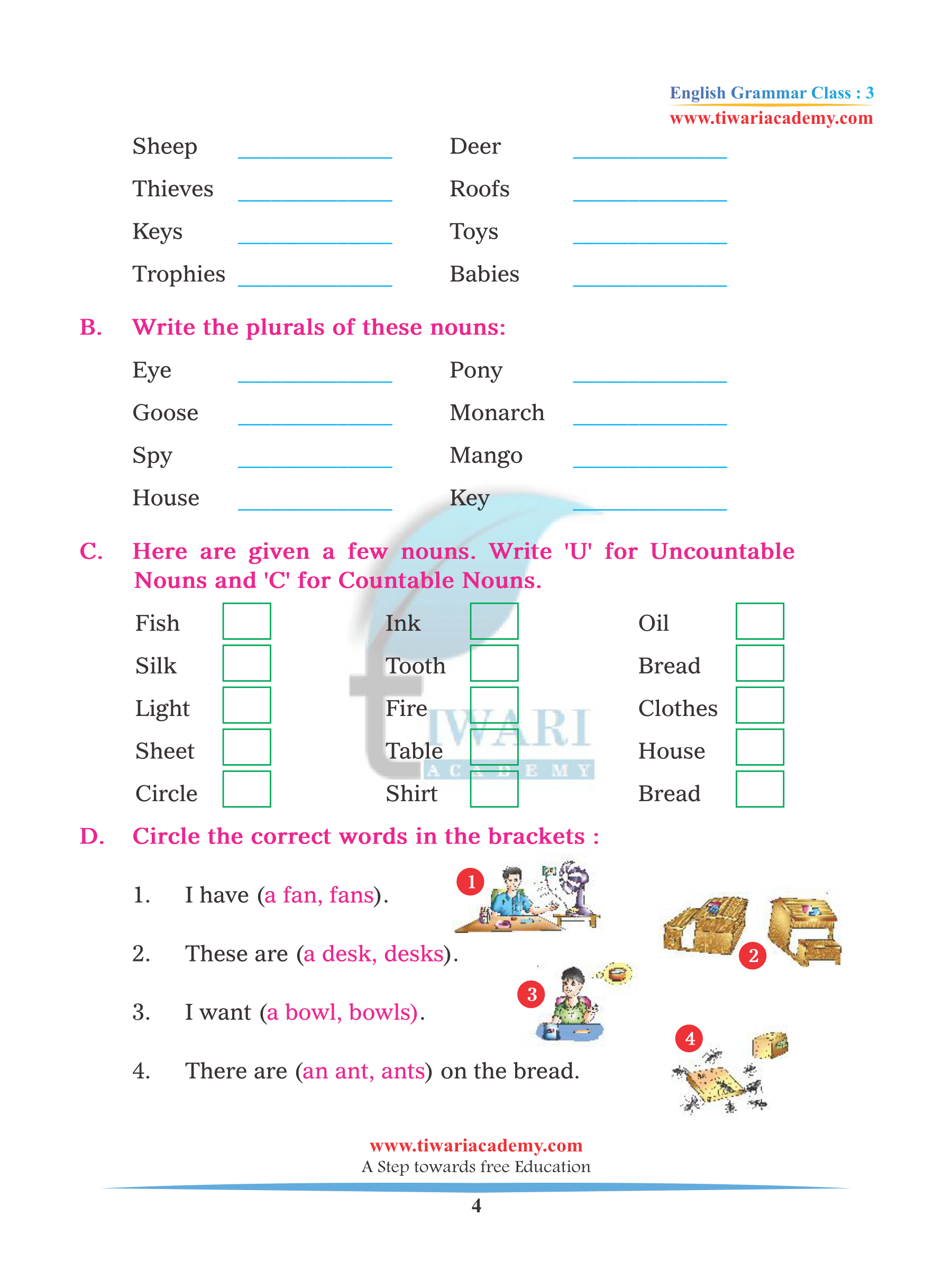 Class 3 Grammar Singular and Plural
