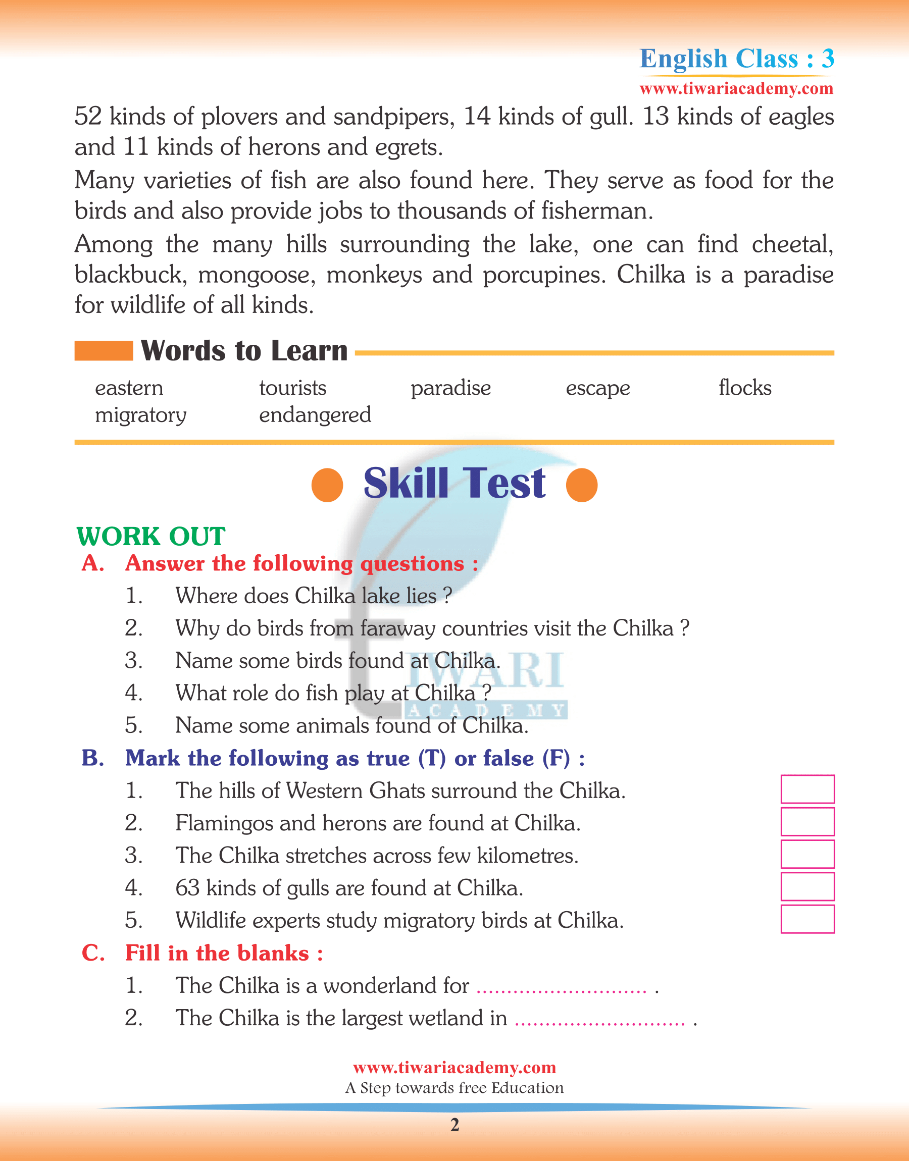 Class 3 English Chapter 3 revision exercise