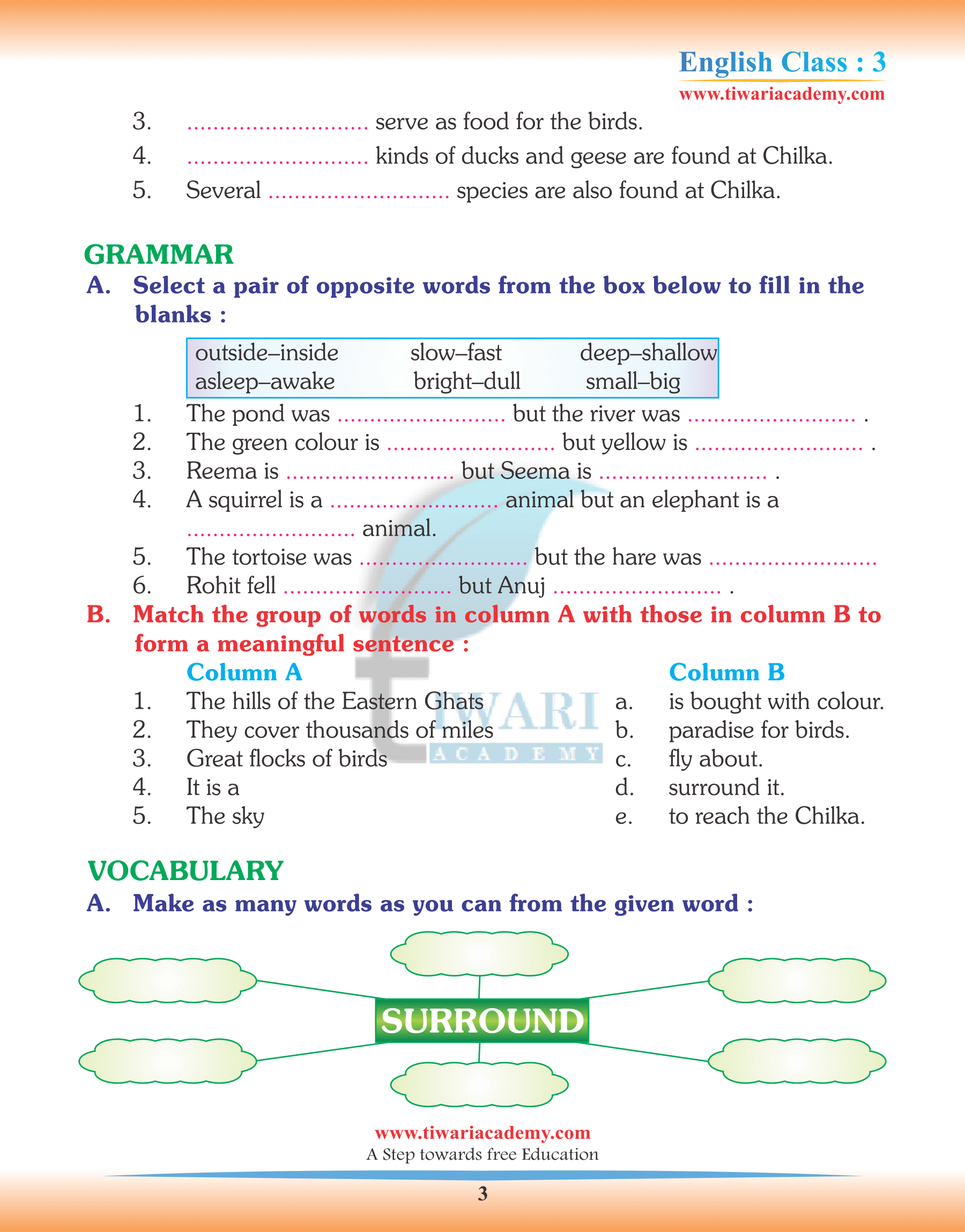 Class 3 English Chapter 3 revision
