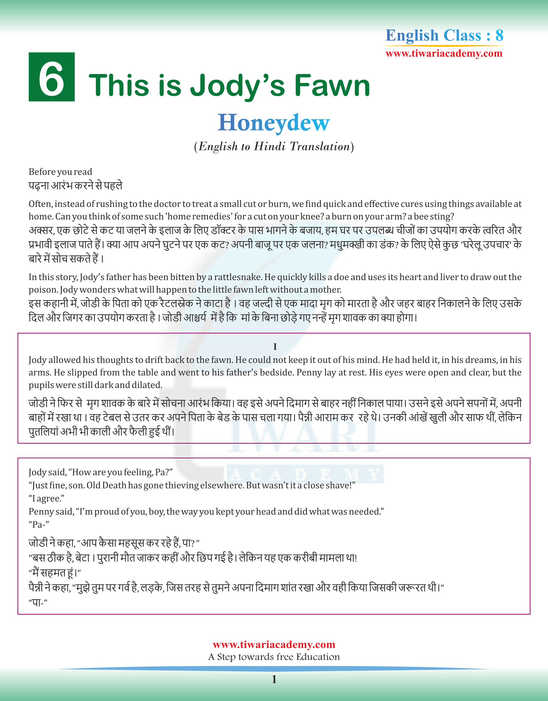 Class 8 English Honeydew Chapter 6 in Hindi Medium