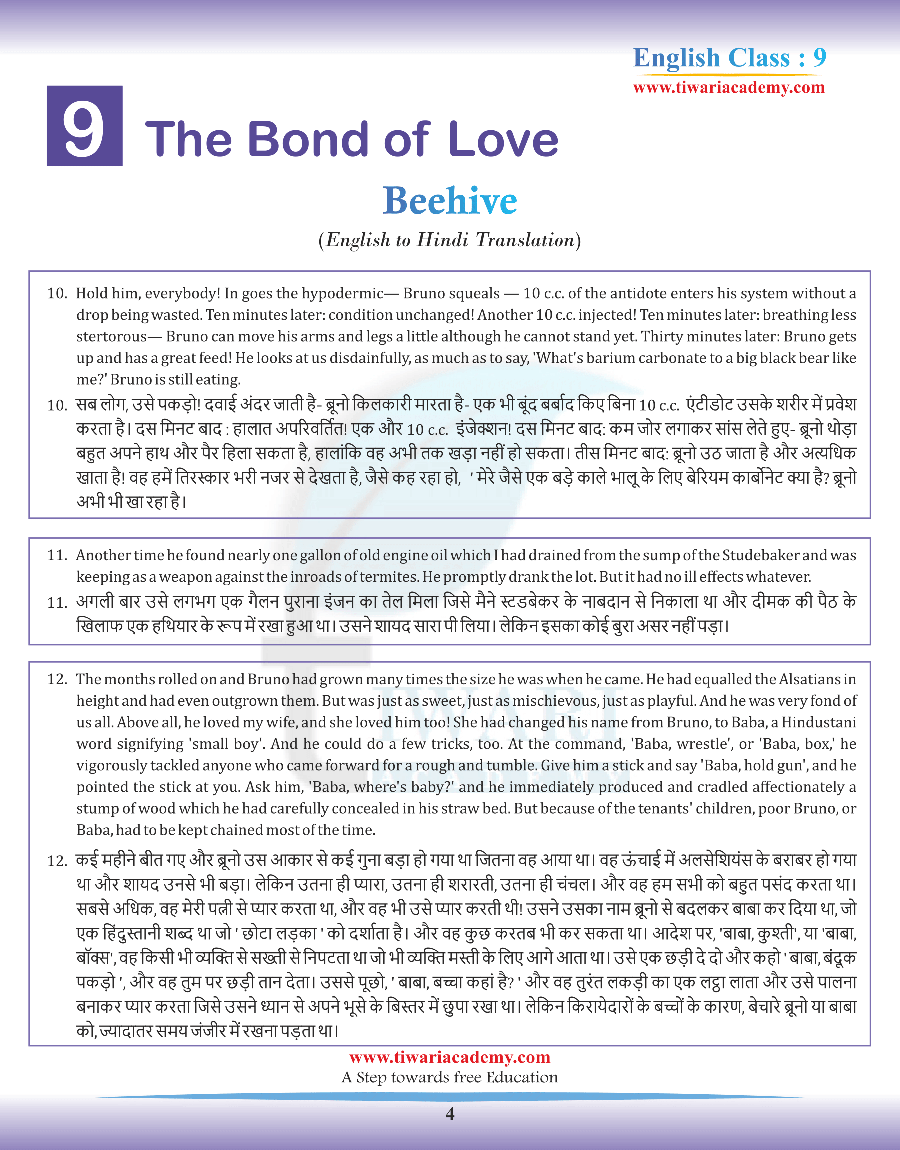 Hindi Version Translation of Class 9 English Beehive Chapter 9