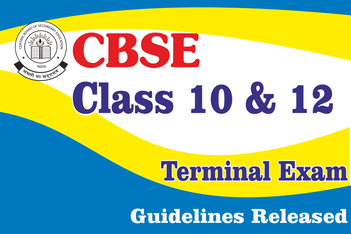 Term Exam Guidelines