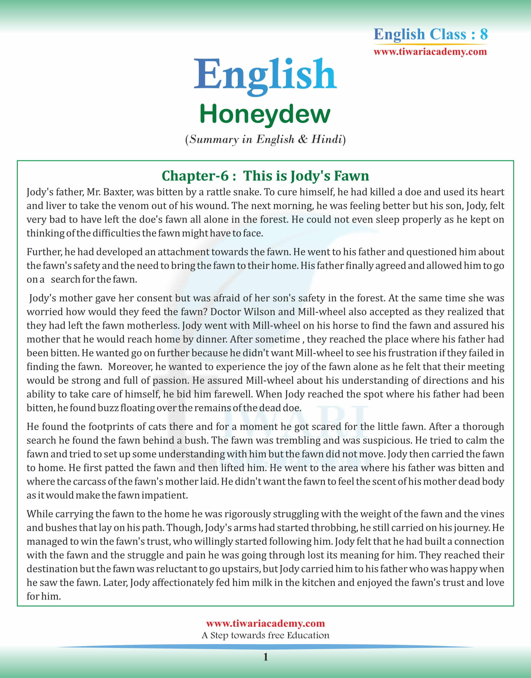 Class 8 English Chapter 6 Summary in English