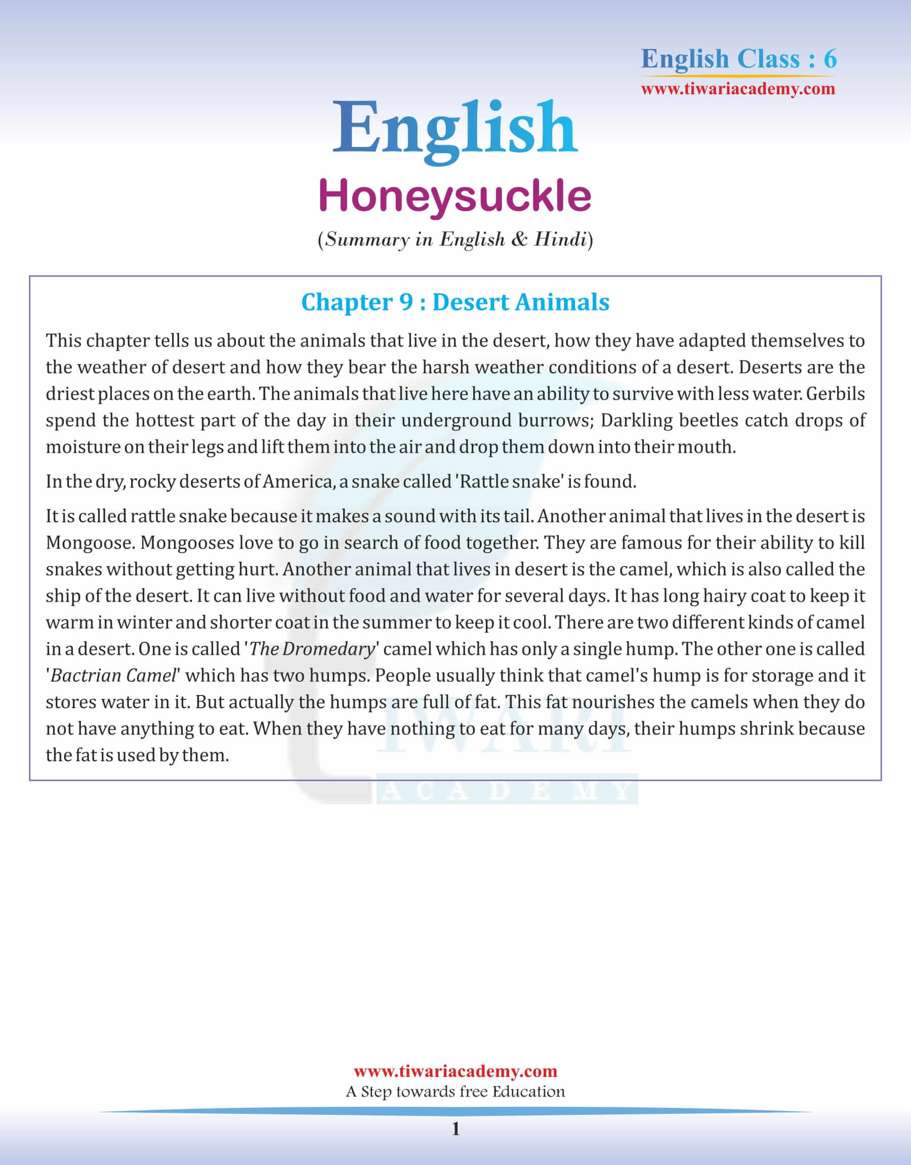 Class 6 English Chapter 9 Summary in English