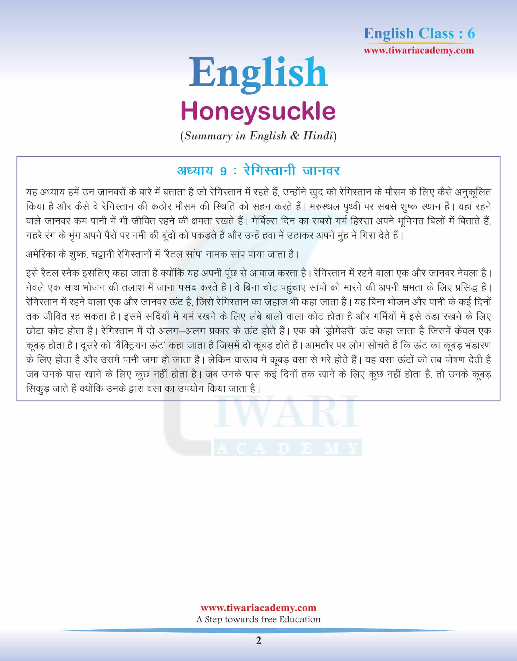 Class 6 English Chapter 9 Summary in Hindi