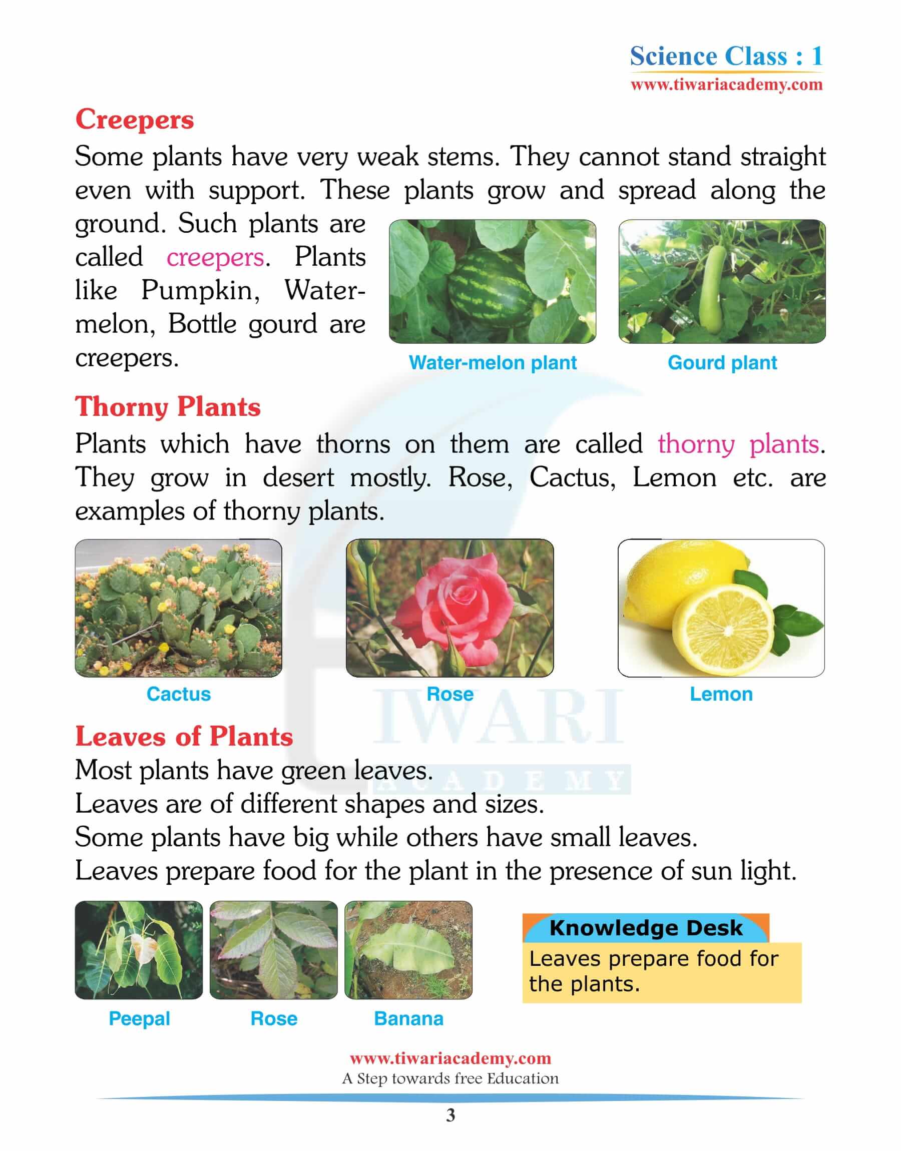 Class 1 Science Chapter 1 question answers