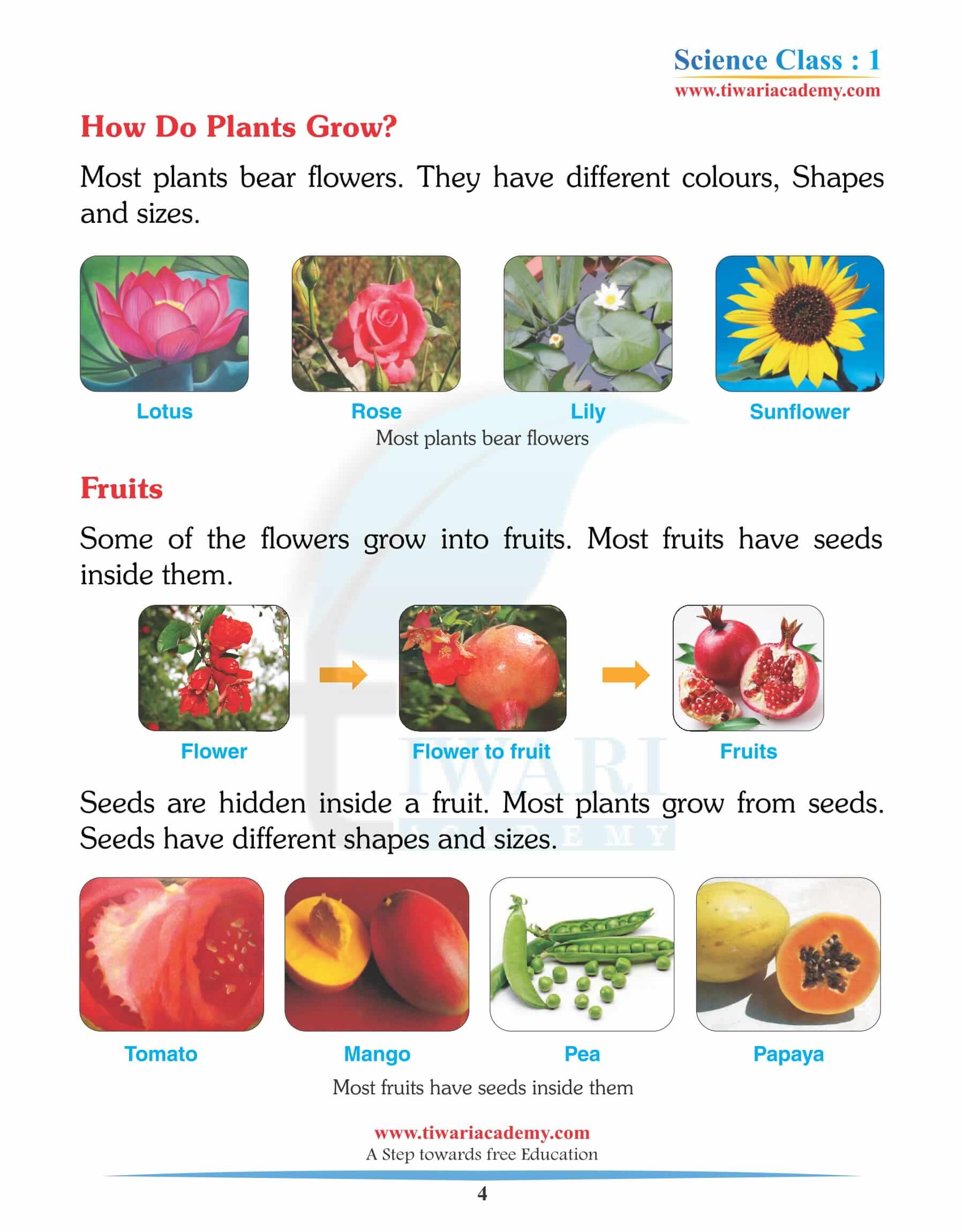 Class 1 Science Chapter 1 guide