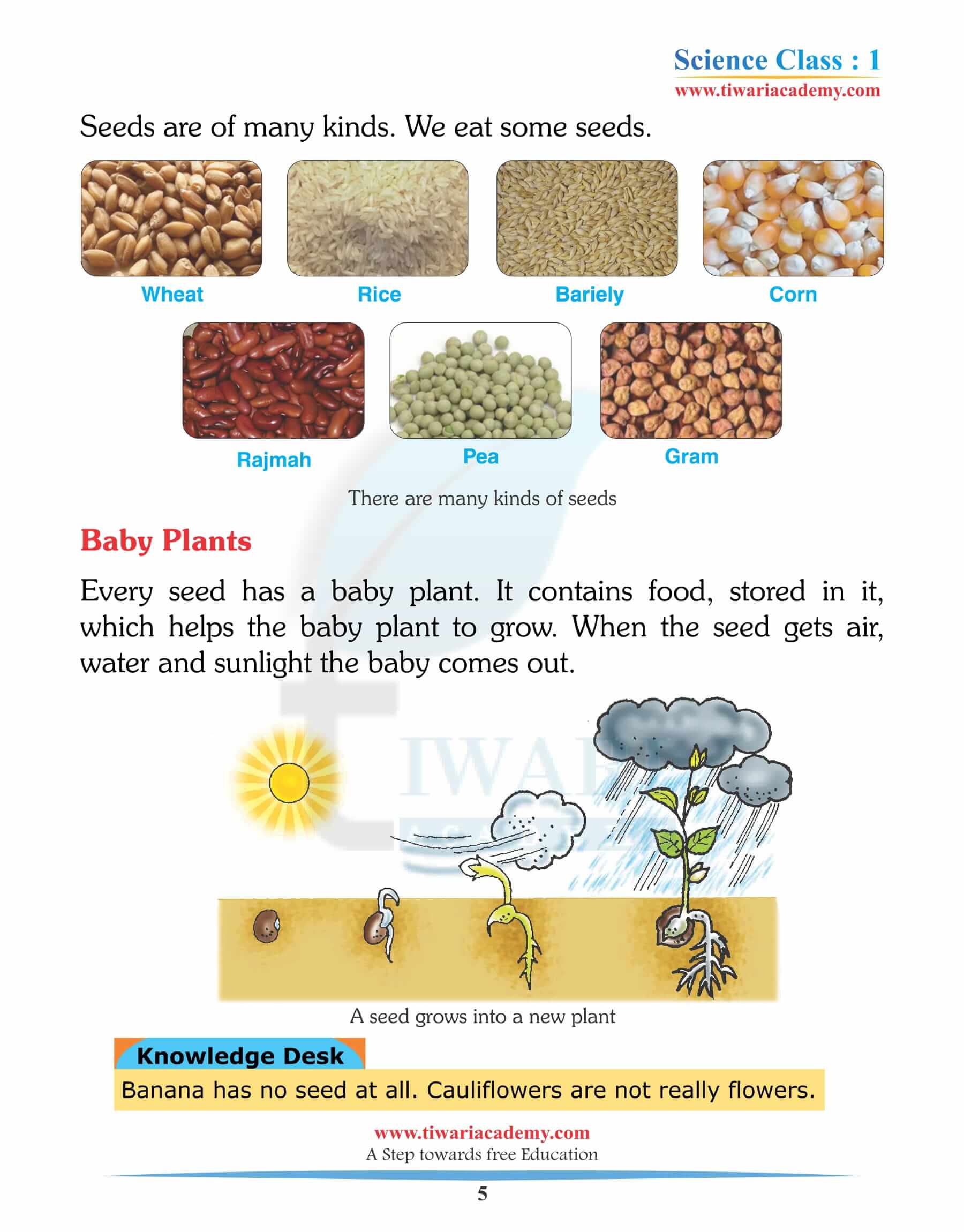 Class 1 Science Chapter 1 pdf answers