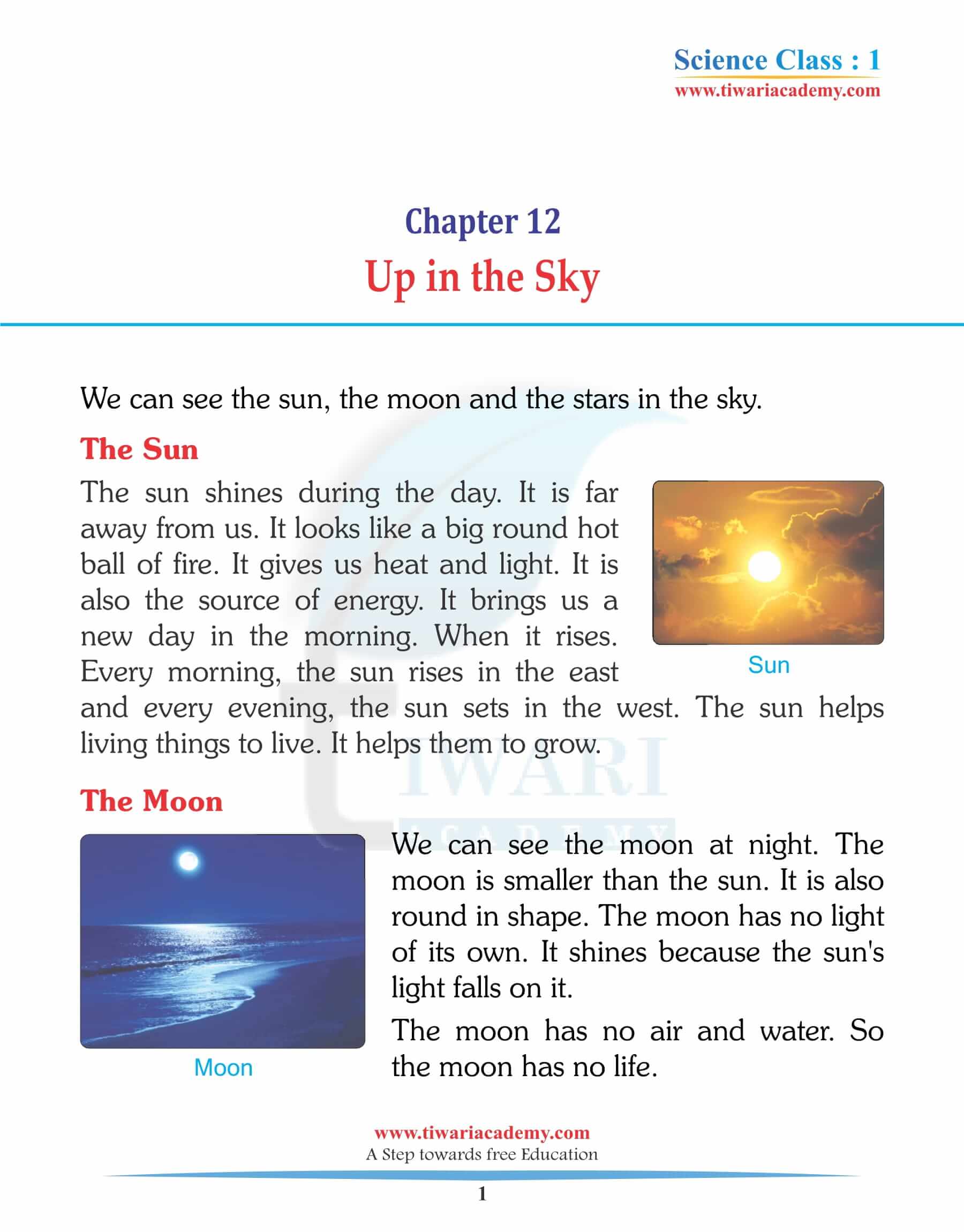 Class 1 Science Chapter 12 Up in the Sky Solutions
