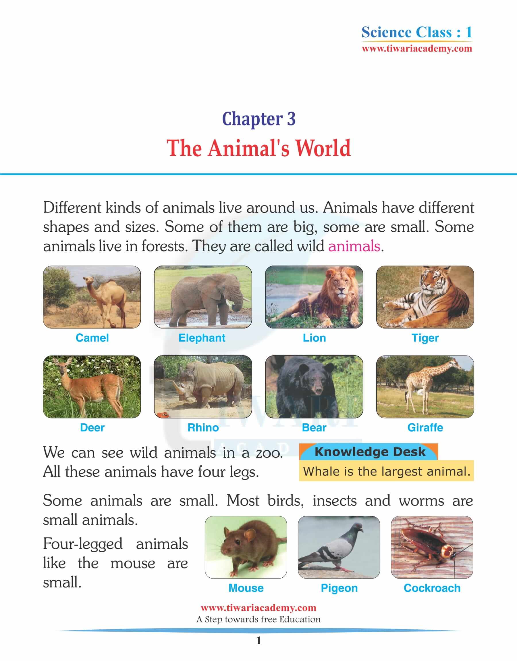 Class 1 Science Chapter 3 The Animal's World Solutions
