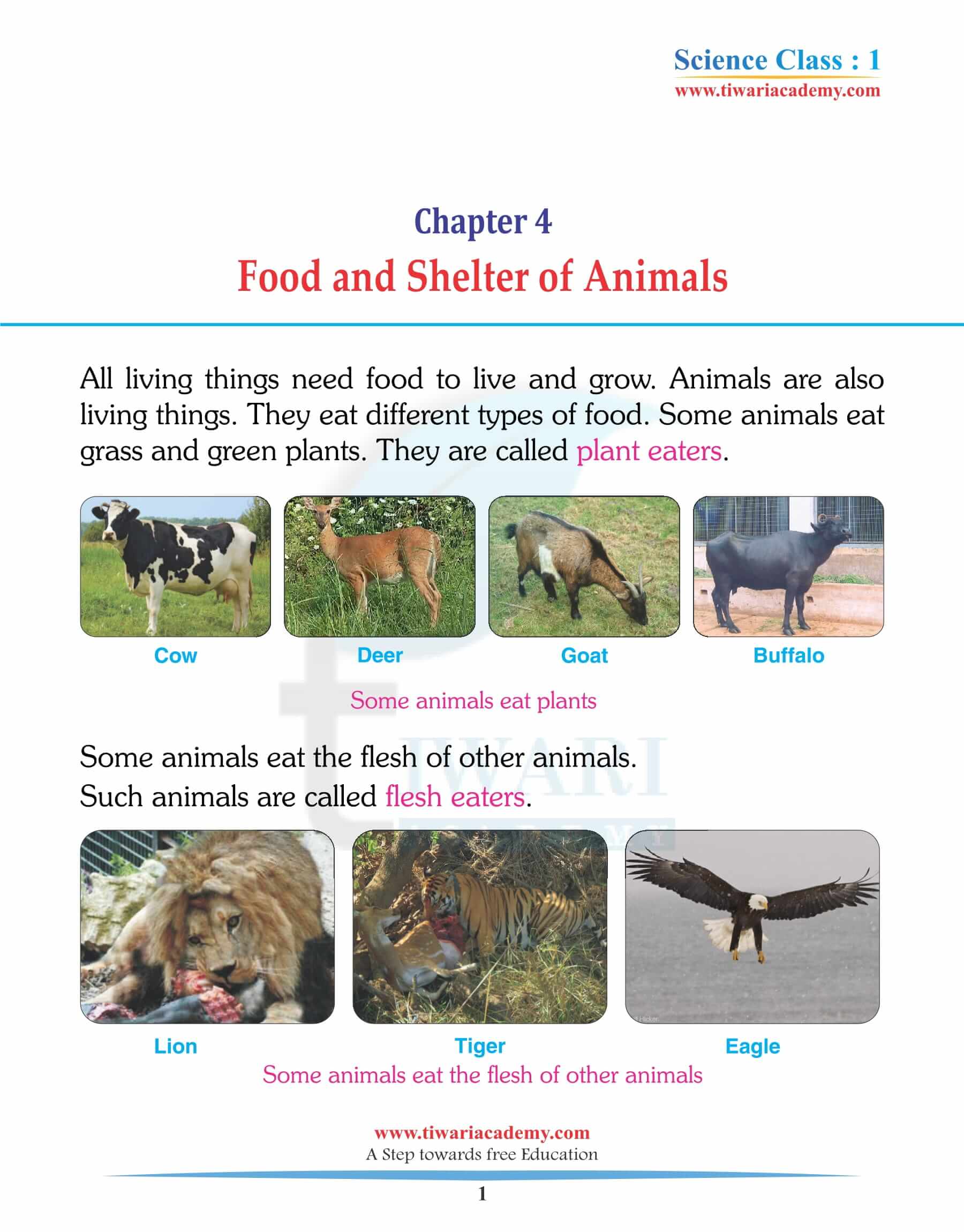 Class 1 Science Chapter 4 Food and Shelter of Animals Solutions