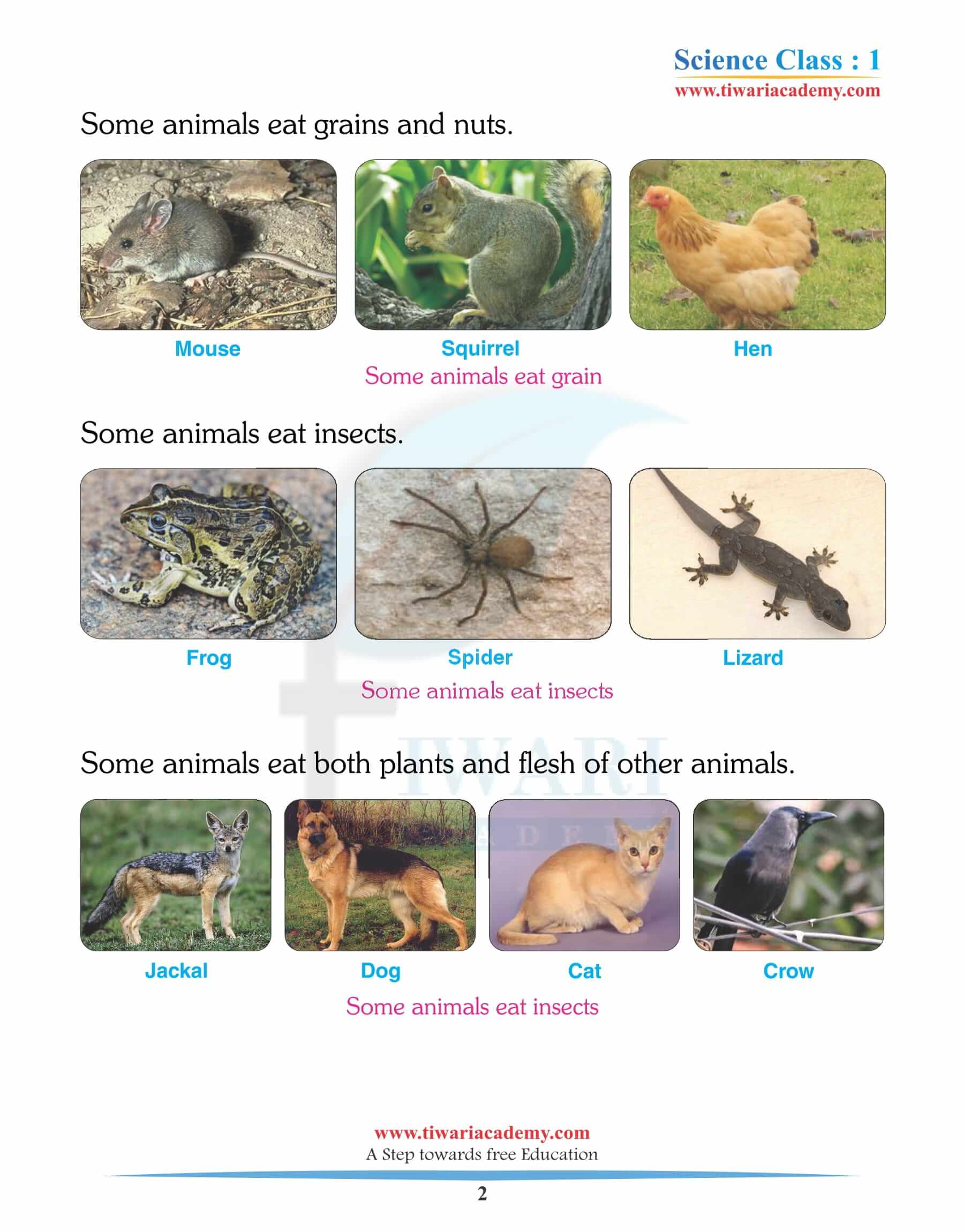 Class 1 Science Chapter 4