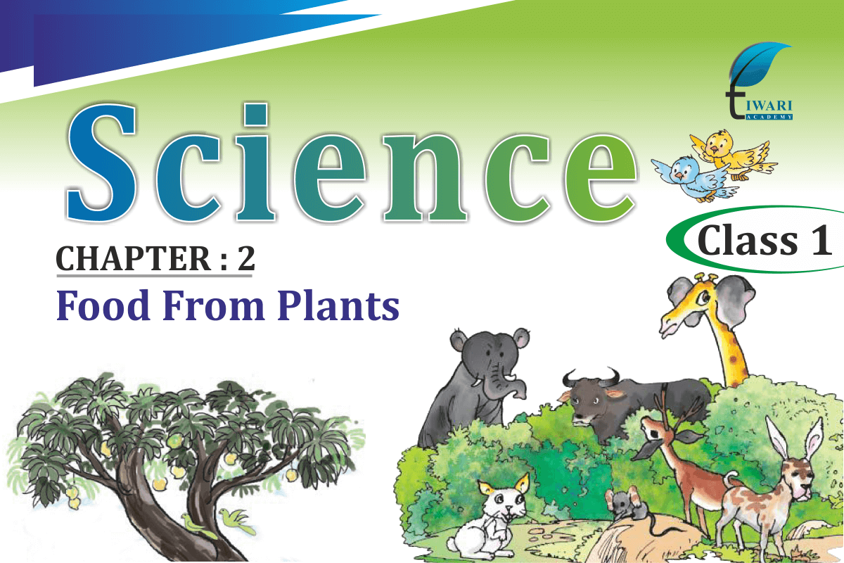Class 1 Science Chapter 2 Food From Plants Question Answers in PDF.