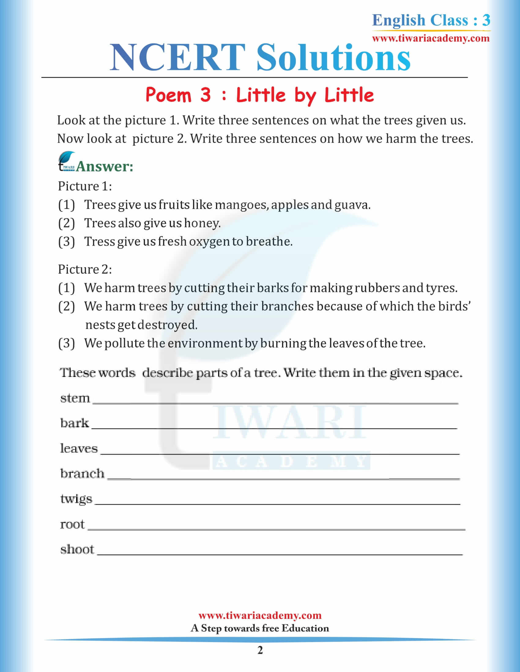 NCERT Solutions for Class 3 English Marigold 3 Unit 3 Little by Little