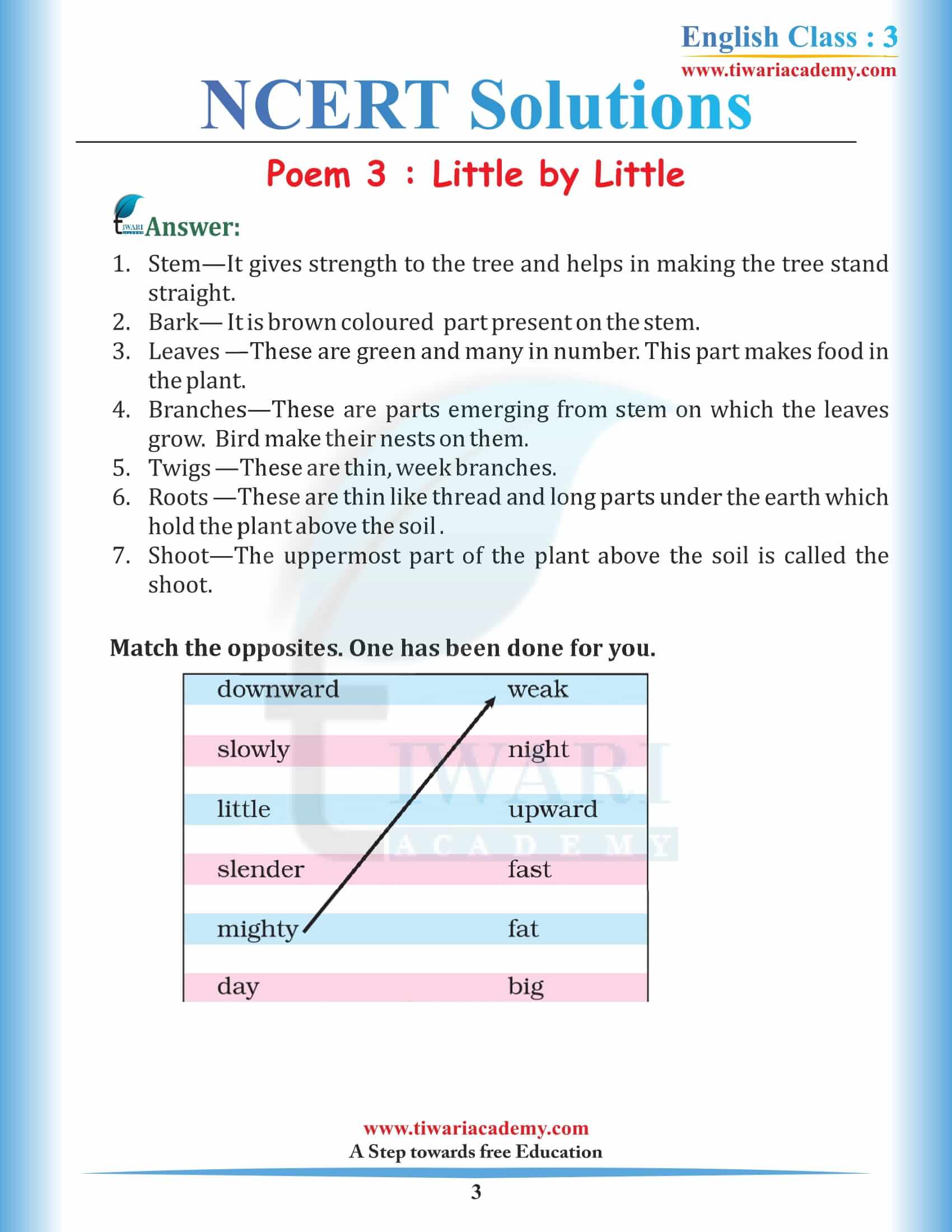 NCERT Solutions for Class 3 English Marigold 3 Unit 3